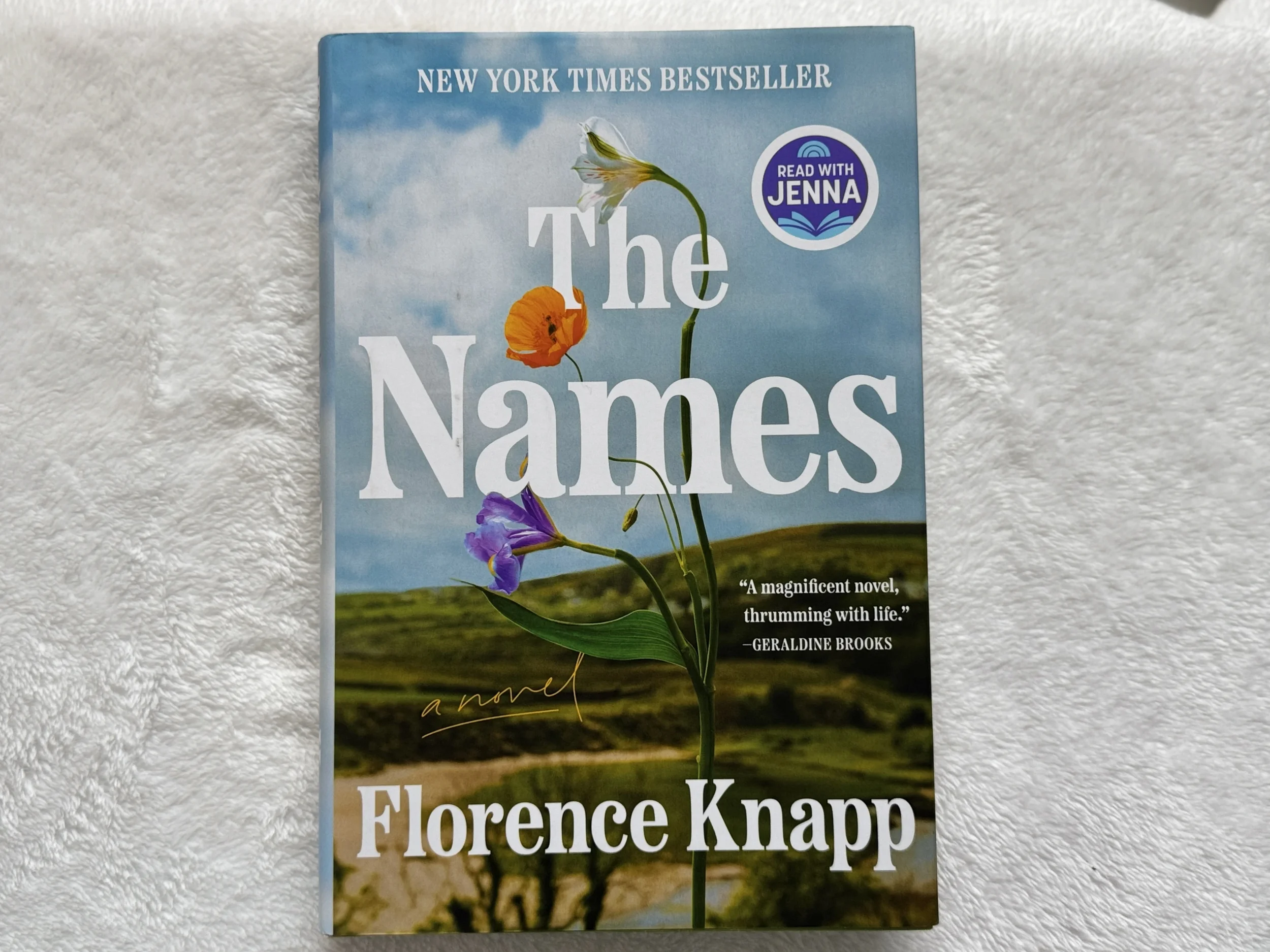 The Names book cover - a novel about inherited trauma and abusive relationships