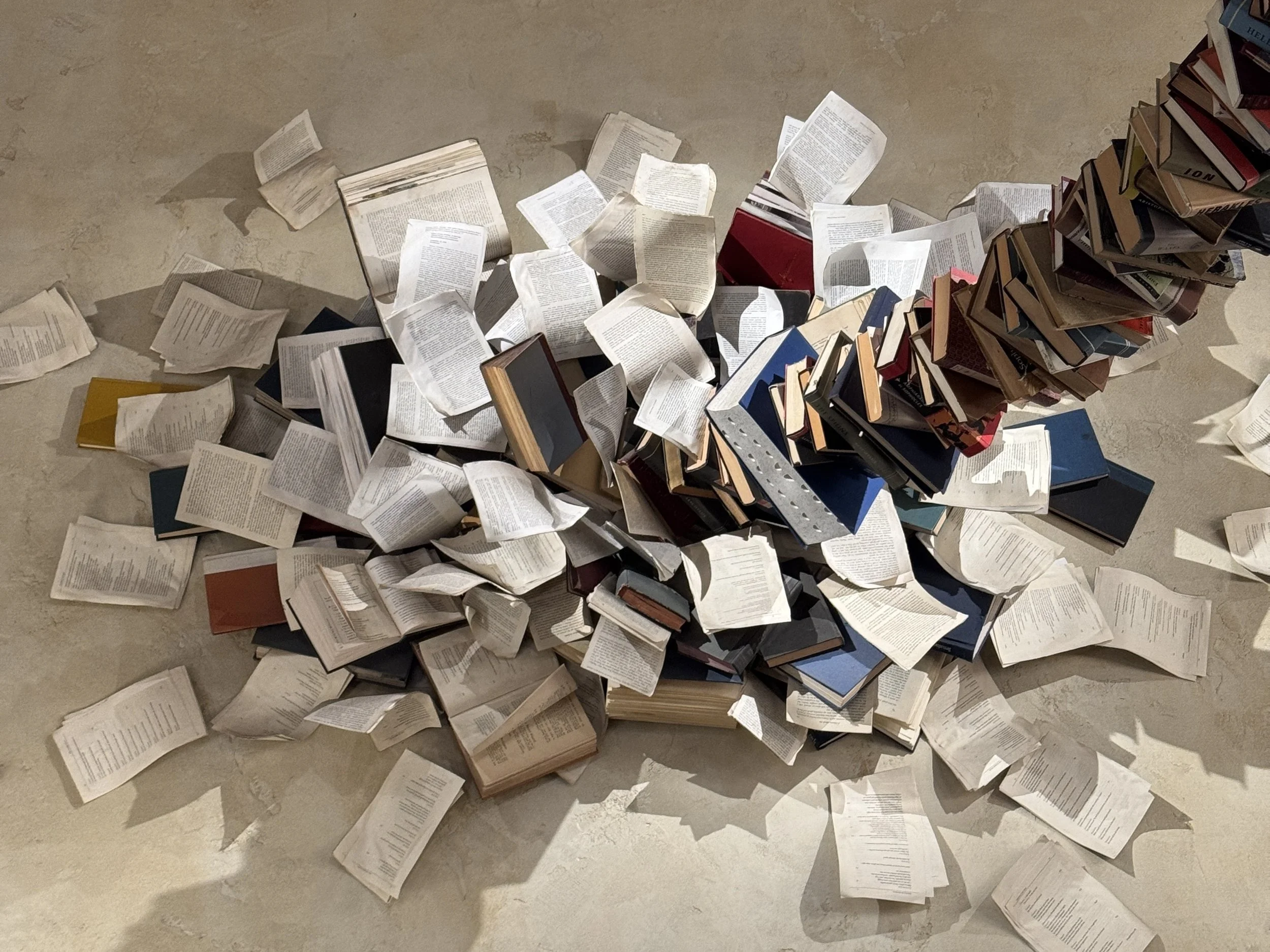 The Drama Book Shop wall displaying books