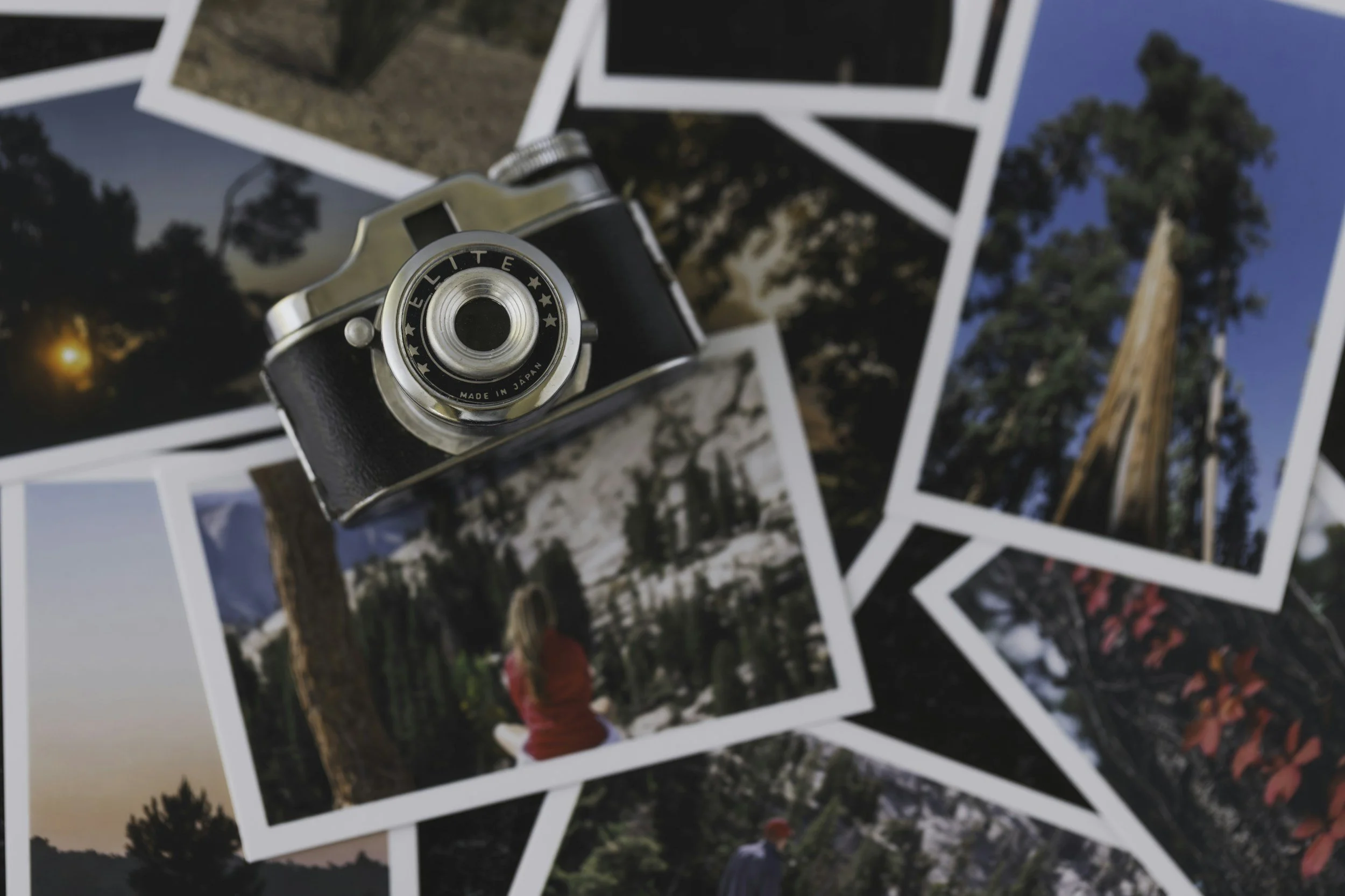 Inclusive Marketing and Storytelling in a Polarised World