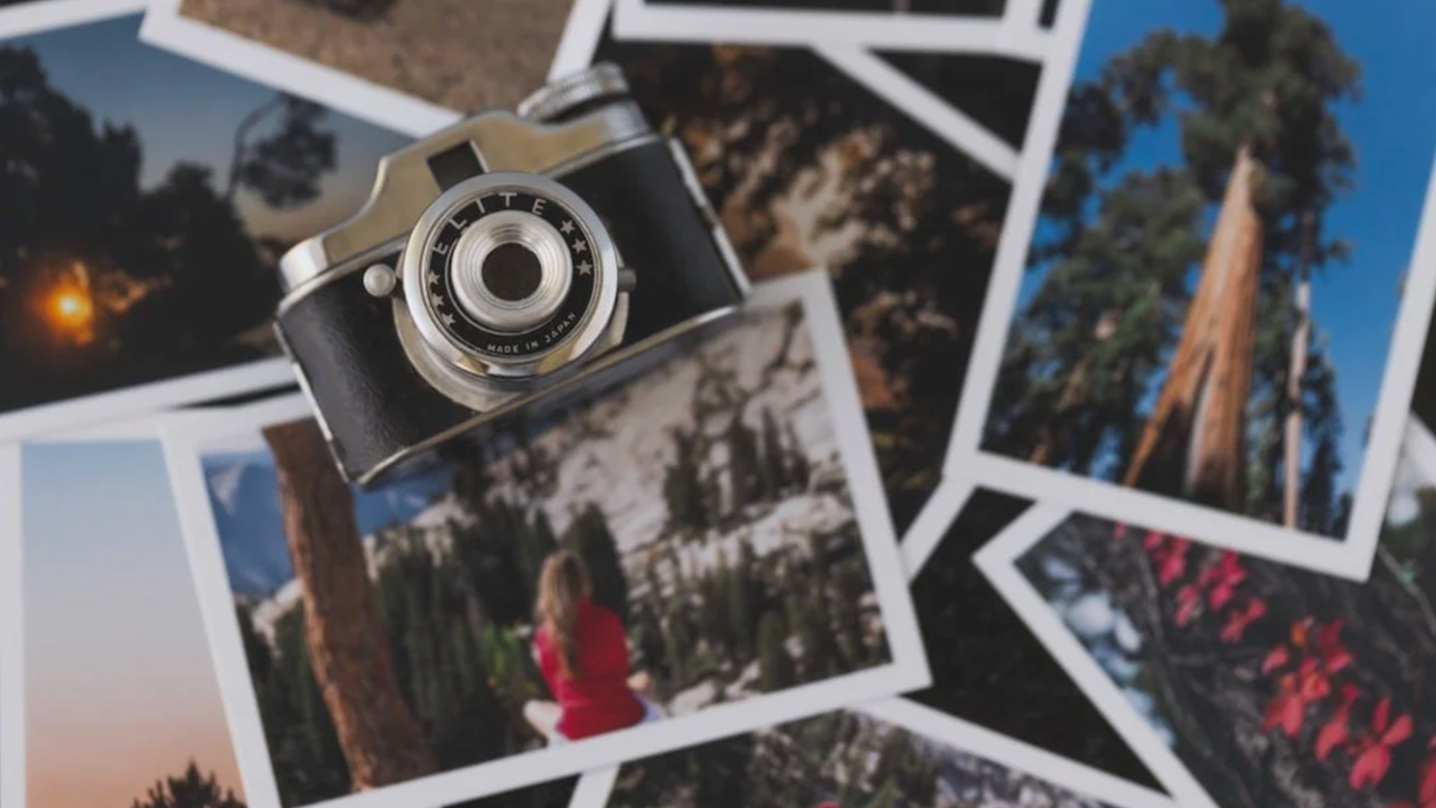 From Brochure to Reality: What Inclusive Travel Marketing Really Requires in a Polarised World