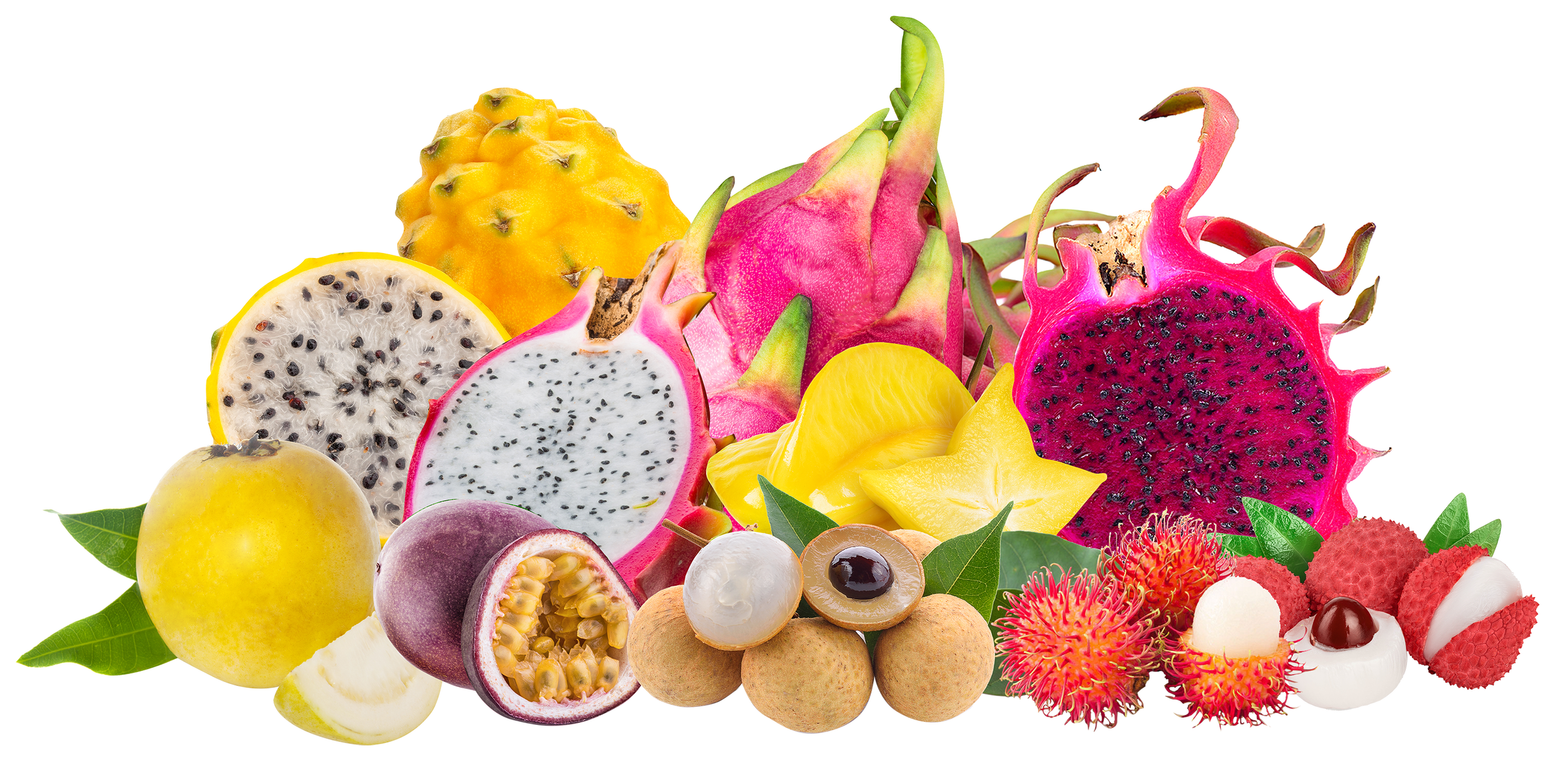 A colorful assortment of tropical fruits including dragon fruit, passion fruit, starfruit, lychee, jackfruit, yellow apple, guava, and longan, along with tropical flowers.