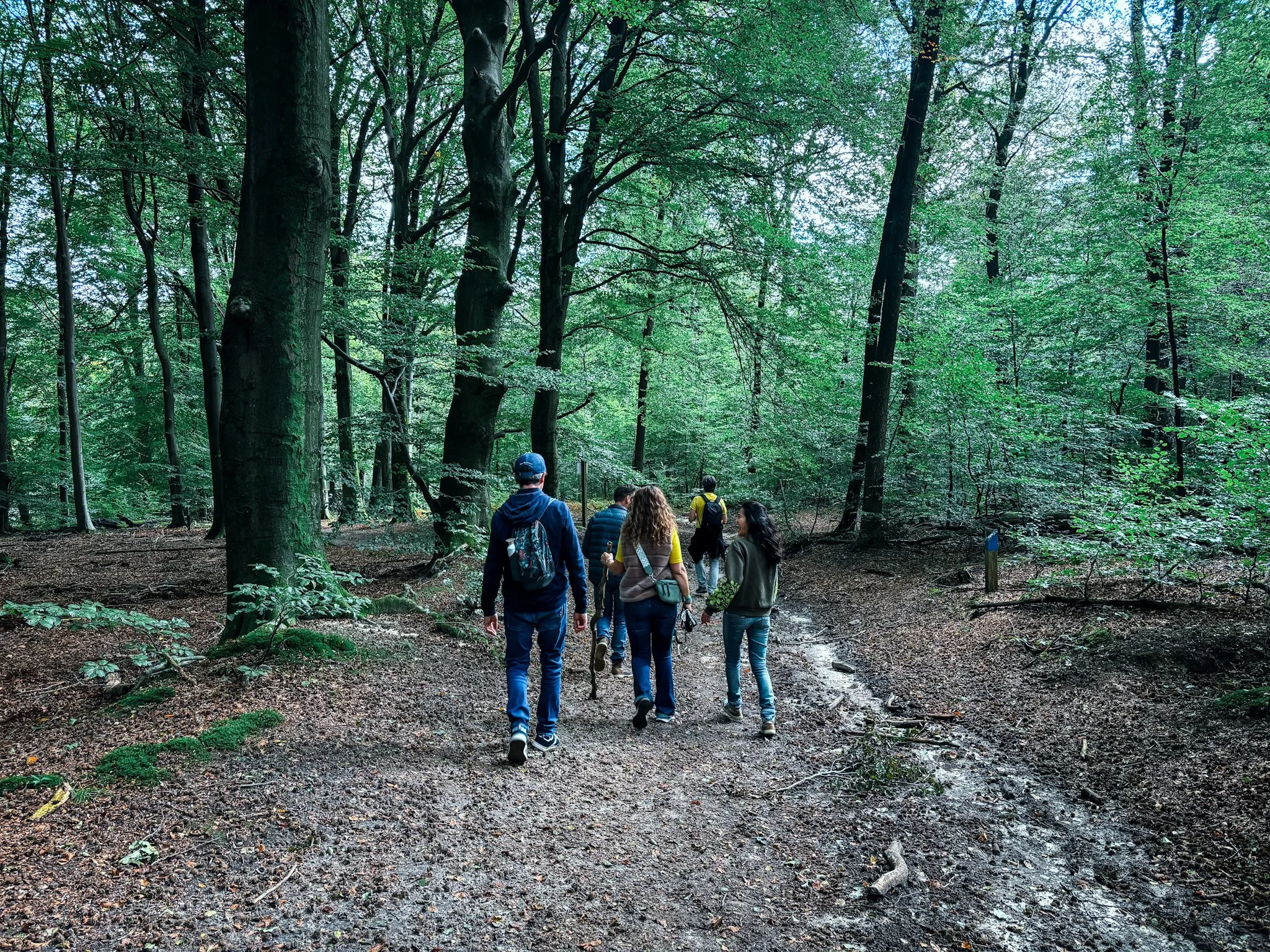 Teamwandeling in de natuur als buitenactiviteit om stress te verminderen en focus te herstellen
