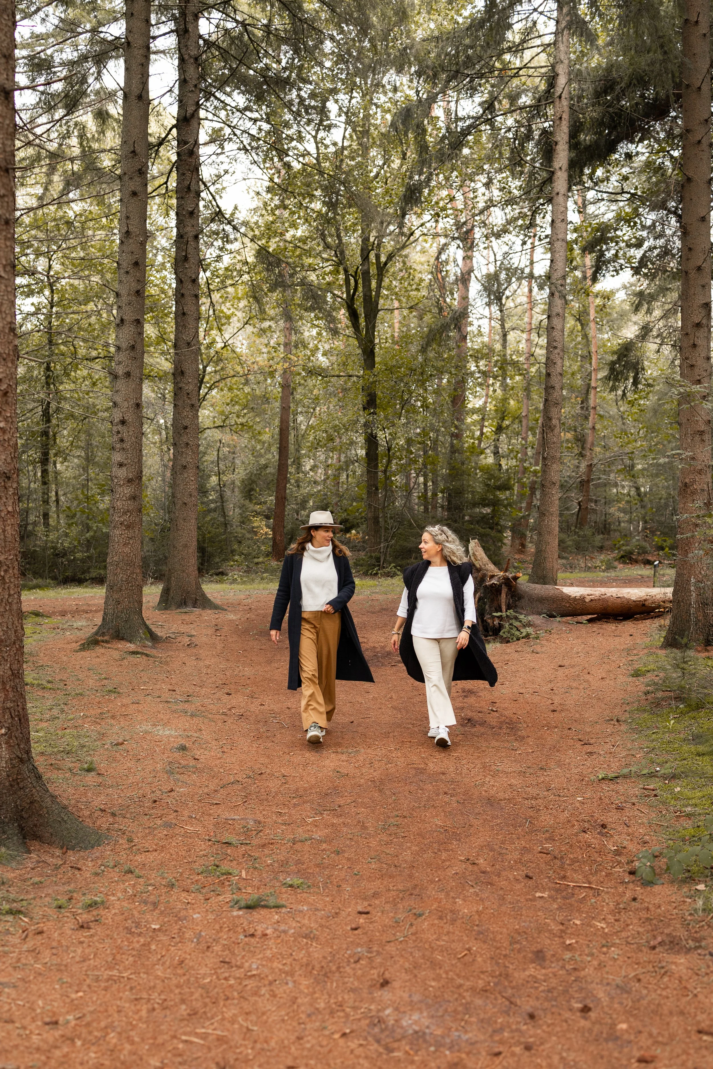 Natuurcoaching in Amsterdam voor mentale rust en helderheid