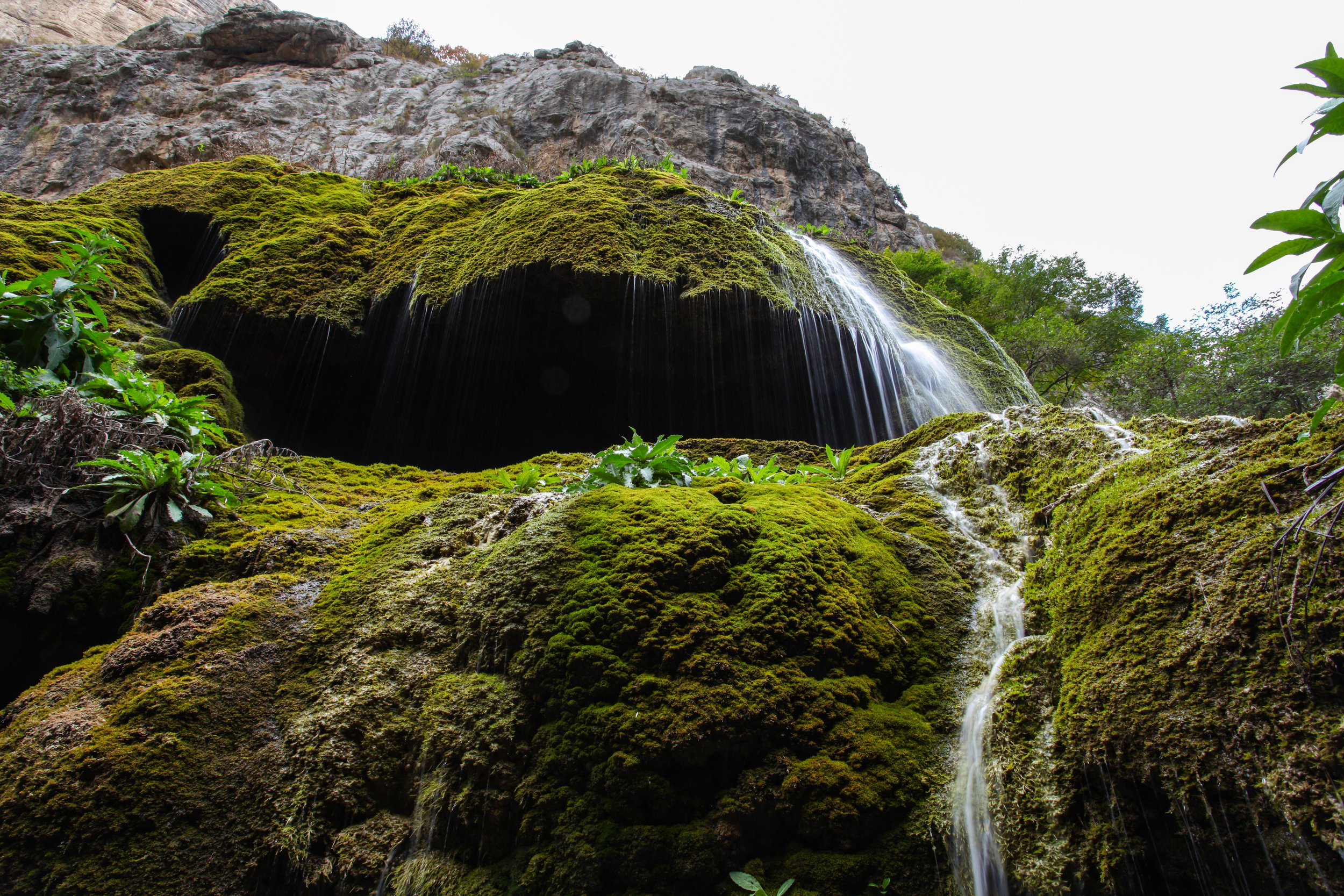 Lush green moss-covered rock formation with small waterfall streams cascading down, surrounded by vegetation and rocky cliff backdrop.