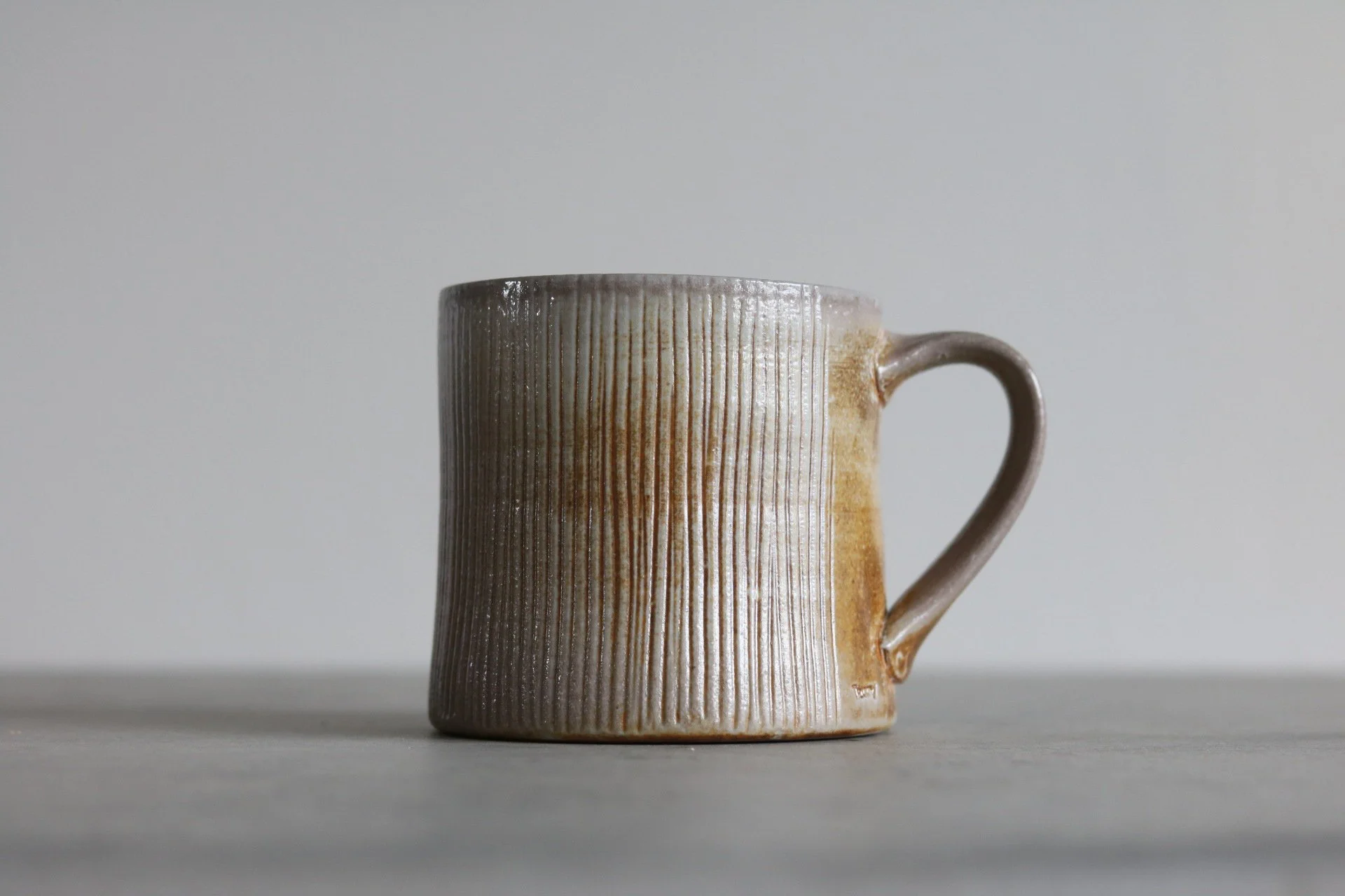 Terry Hildebrand Mug T2