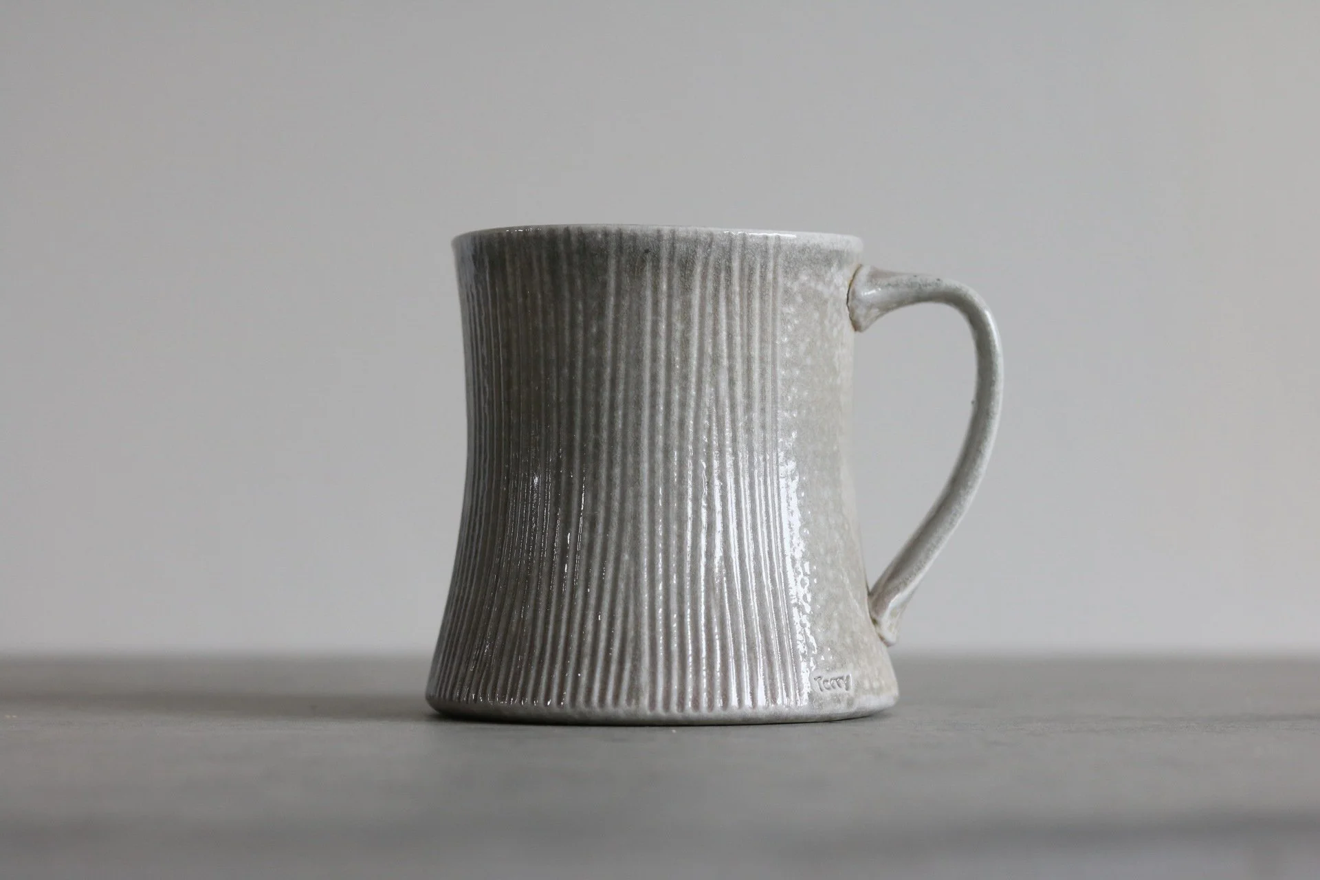 Terry Hildebrand Mug T3