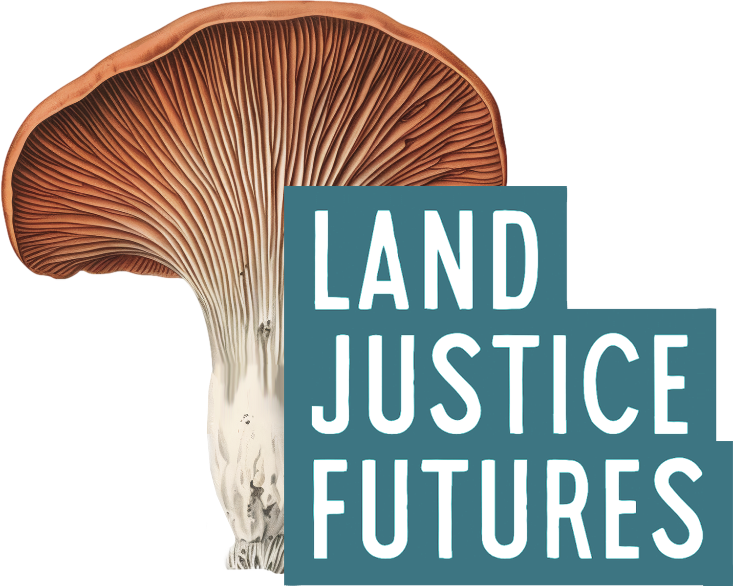 LAND JUSTICE FUTURES