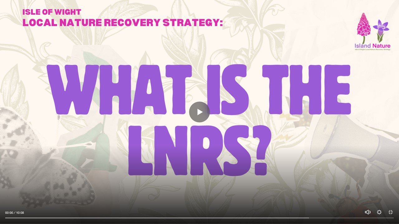 THANK YOU to everyone who has shared the news, social media and/or taken part in the Isle of Wight Local Nature Recovery Strategy Survey...we're half way through!

Responses coming in to the public consultation have been enormously informative and th