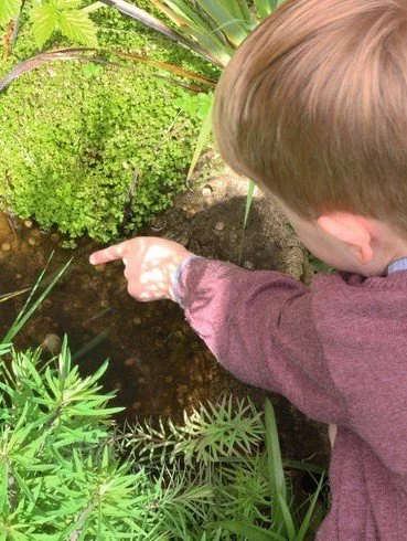 Monitoring &amp; Recording