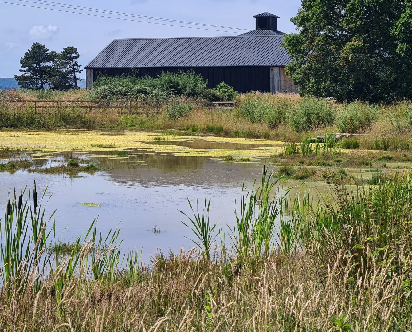 water_water - attenuation pond branstone goddards (Large).jpg