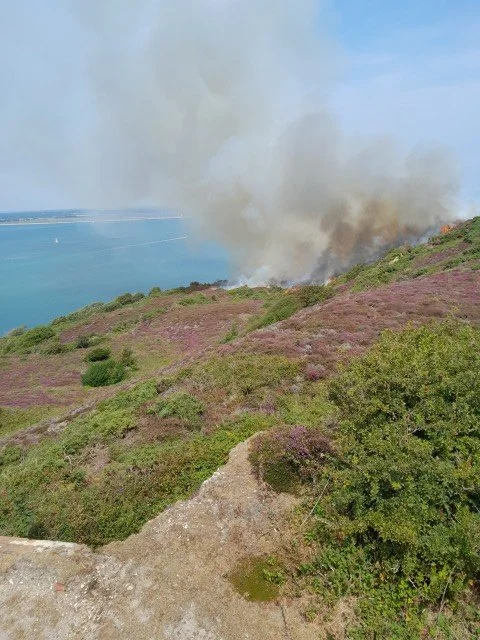 Wildfire at Headon Warren on 23rd July 2026, when around nine hectares—40% of the site’s lowland heath—were affected.