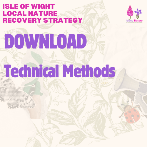 Download Technical methods