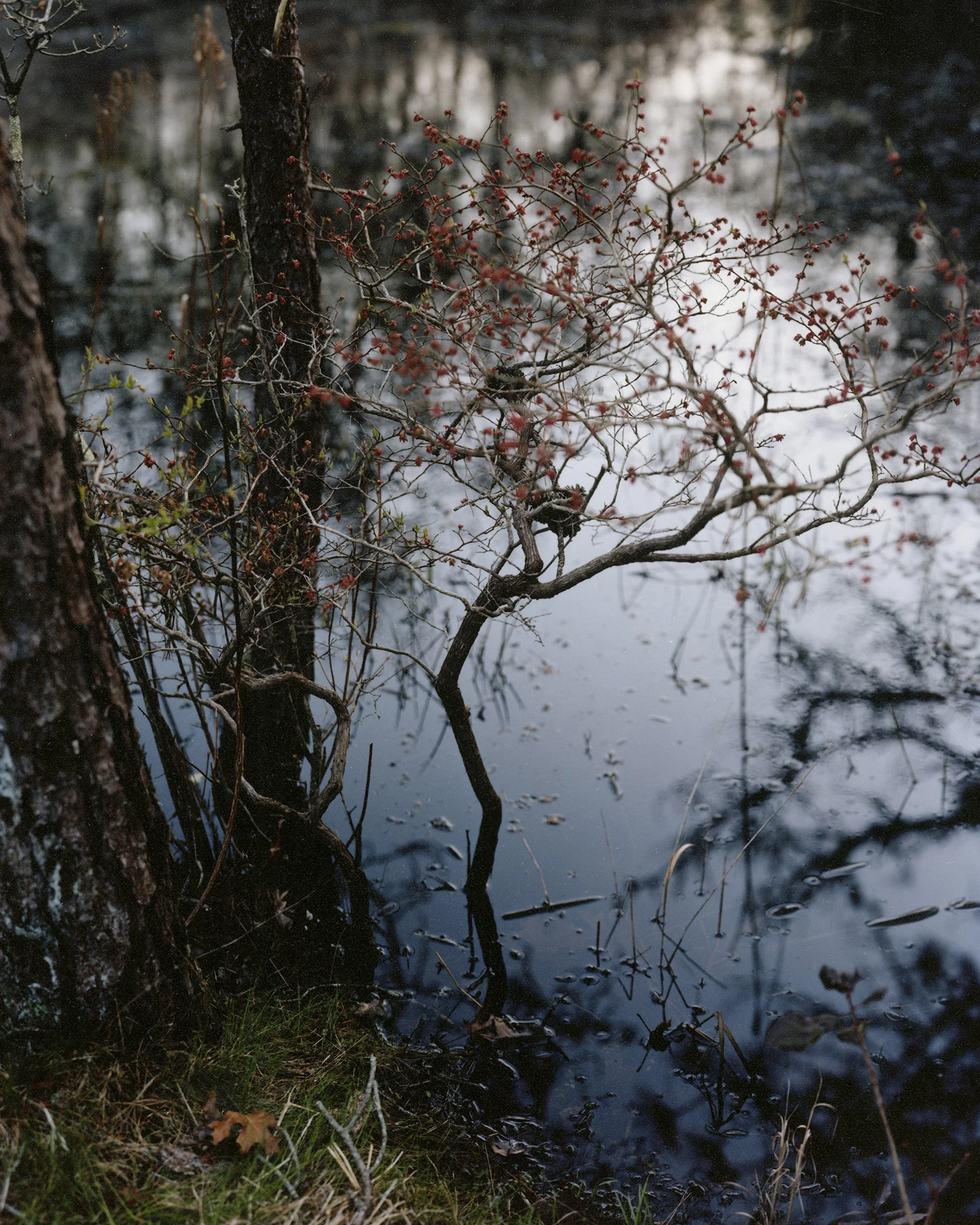 Becoming_2024_The Place of Good water_Janelle Lynch.jpg