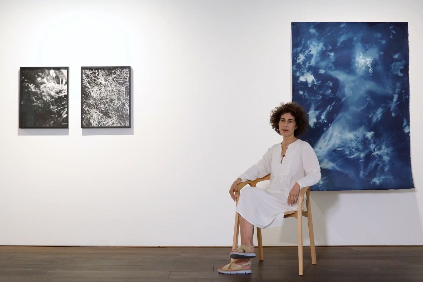 Video Interview about Endless Forms Most Beautiful at Flowers Gallery