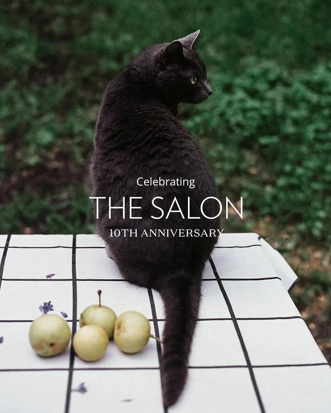 Highlighting Salon artists&mdash;Daniela Guererro, Montse Carty, Roberta Trentin&mdash;in celebration of their work and The Salon&rsquo;s 10th anniversary. 

In addition to thriving personal photography practices, Daniela freelances internationally; 