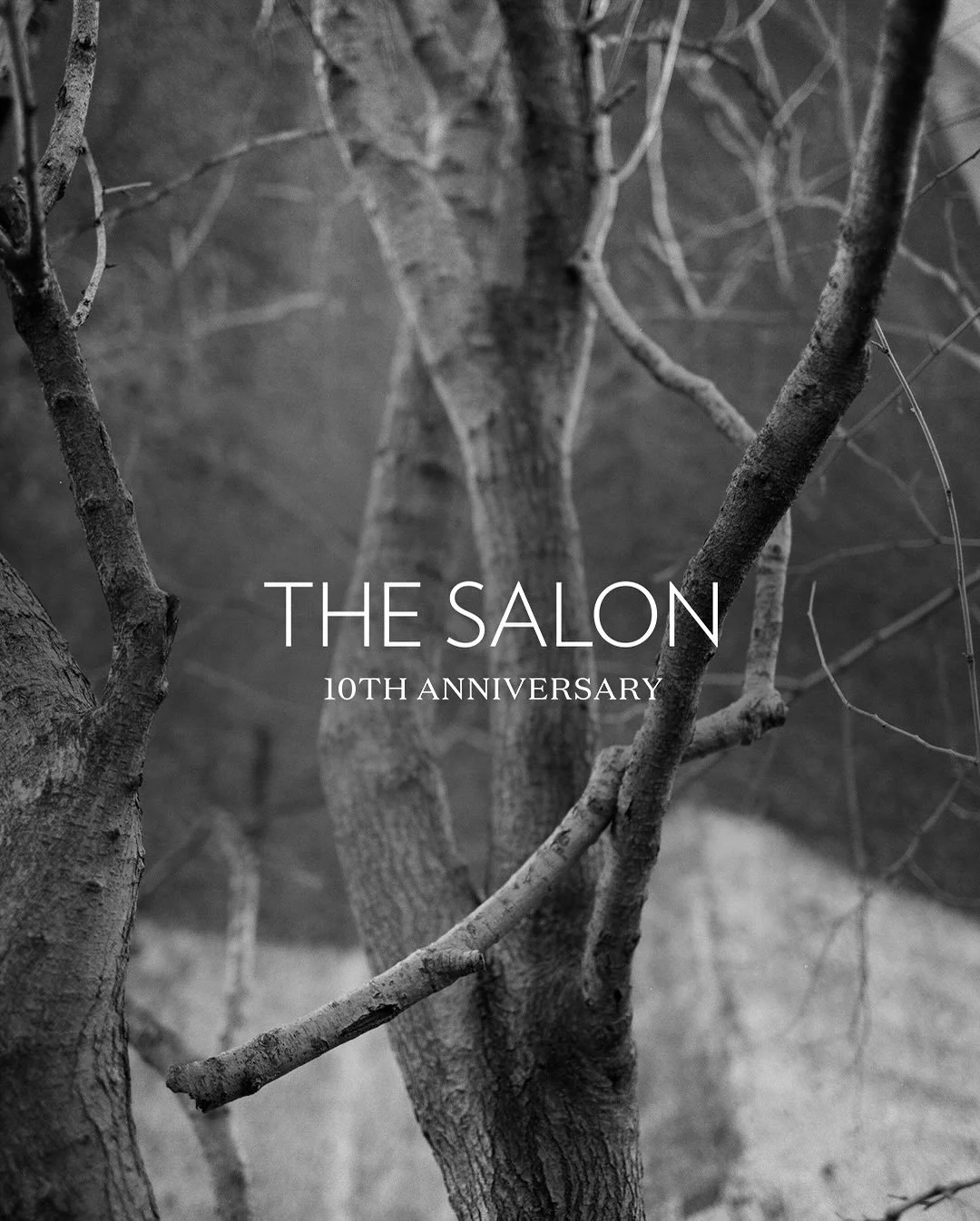 In celebration of The Salon&rsquo;s 10th anniversary, today we are featuring works by 10 members&mdash;each dedicated to their practice; open to discovery; curious; ambitious; and kind. Follow them for more and see link in bio to The Salon on janelle