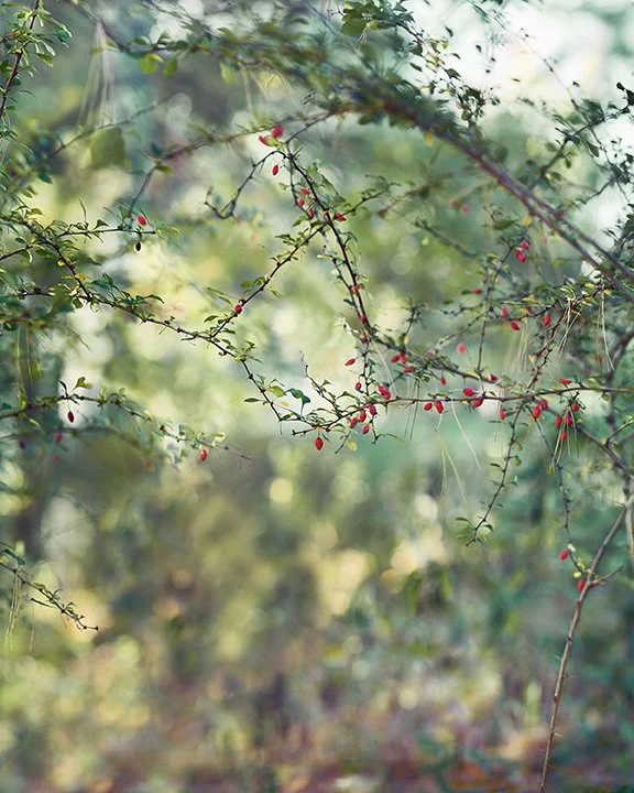 Interview in Tomorrow’s World Today