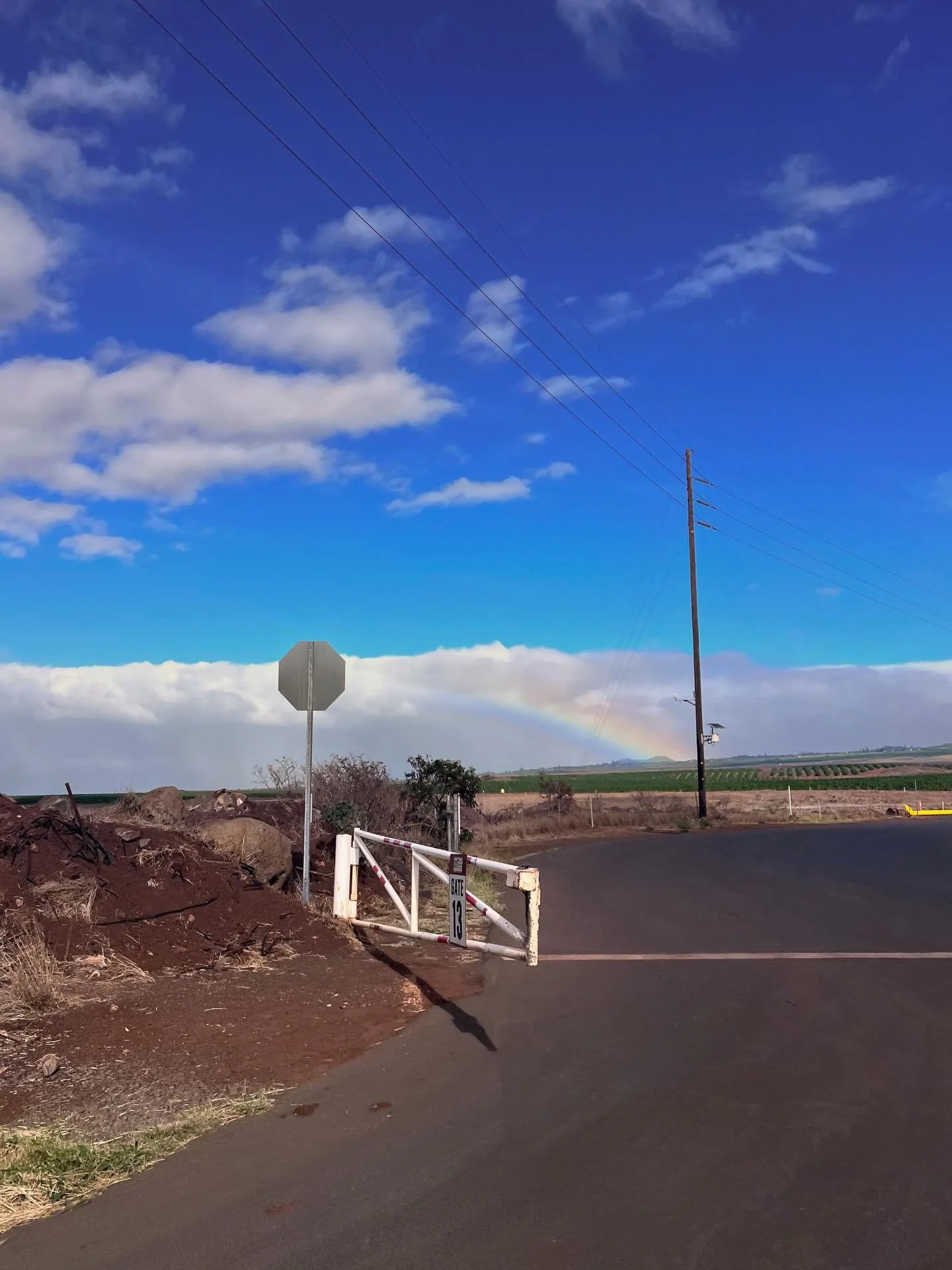 A little bit of Maui from Salon member @stephaniekaufman1