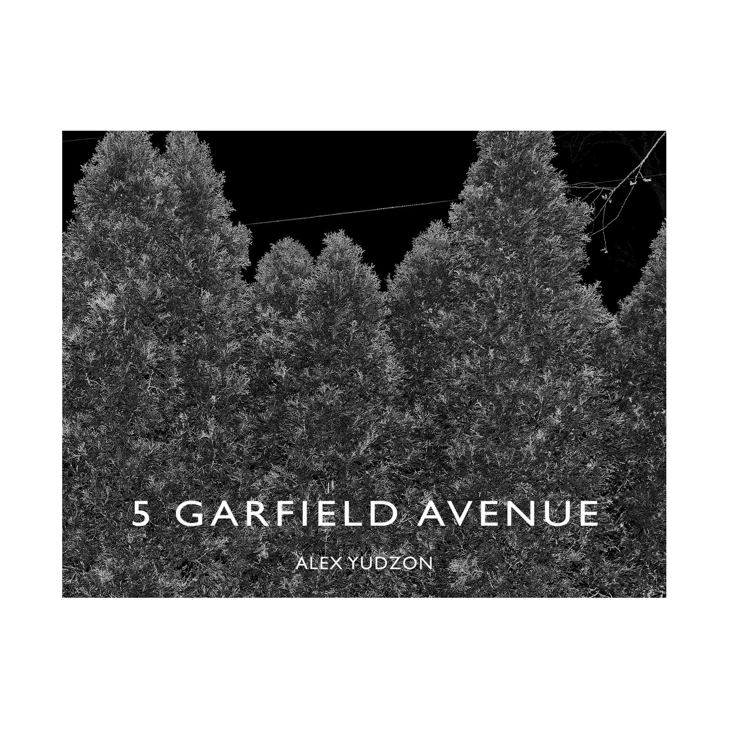 5 Garfield Avenue by Alex Yudzon