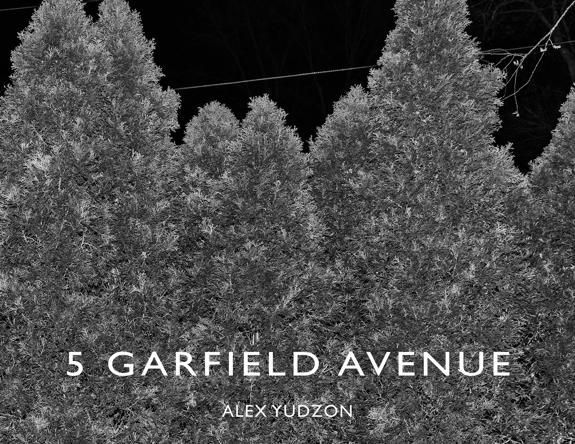 5 Garfield Avenue by Alex Yudzon in LensCulture
