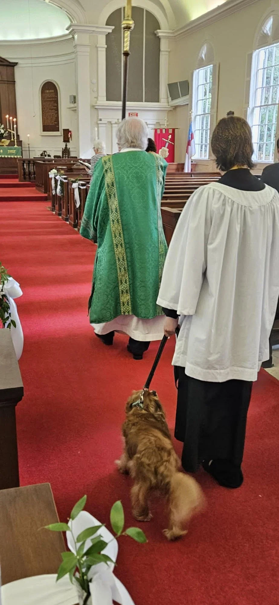2025-blessing-of-the-animals-saint-james-episcopal-charleston-2.jpg