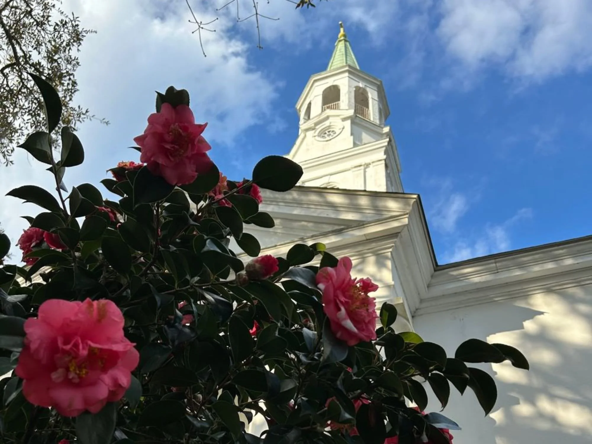 Saint James Episcopal Church Charleston steeple and flower bush