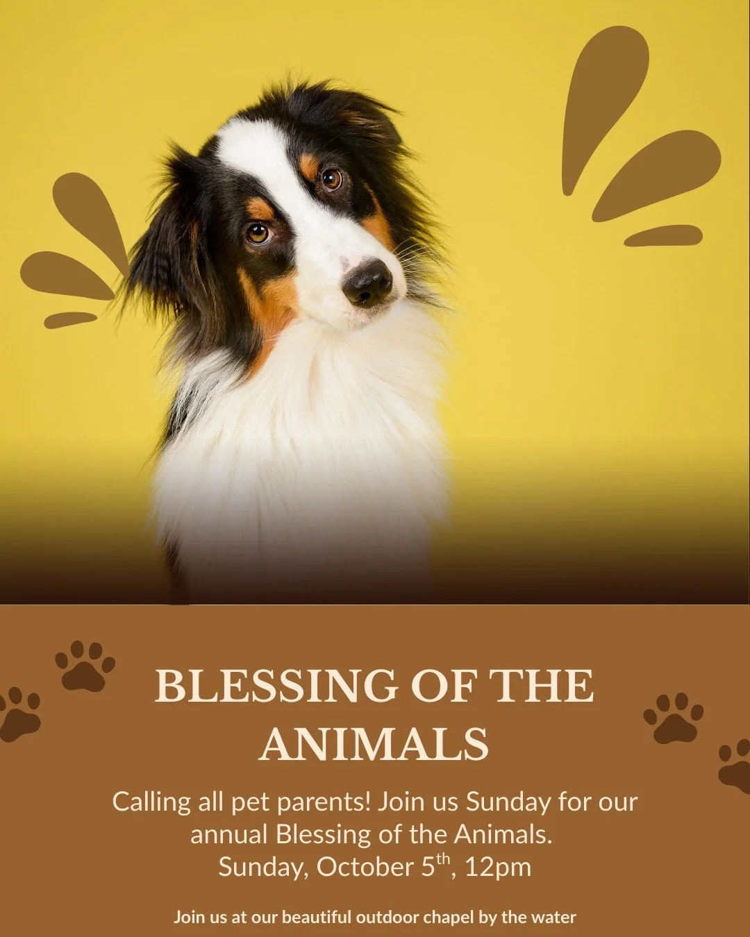 Our Blessing of the Animals will be on October 5th at noon!

There's something really special about this service!  The animals always seem so calm and peaceful, like they know it's their day. 

We celebrate the amazing bond we have with our pets and 