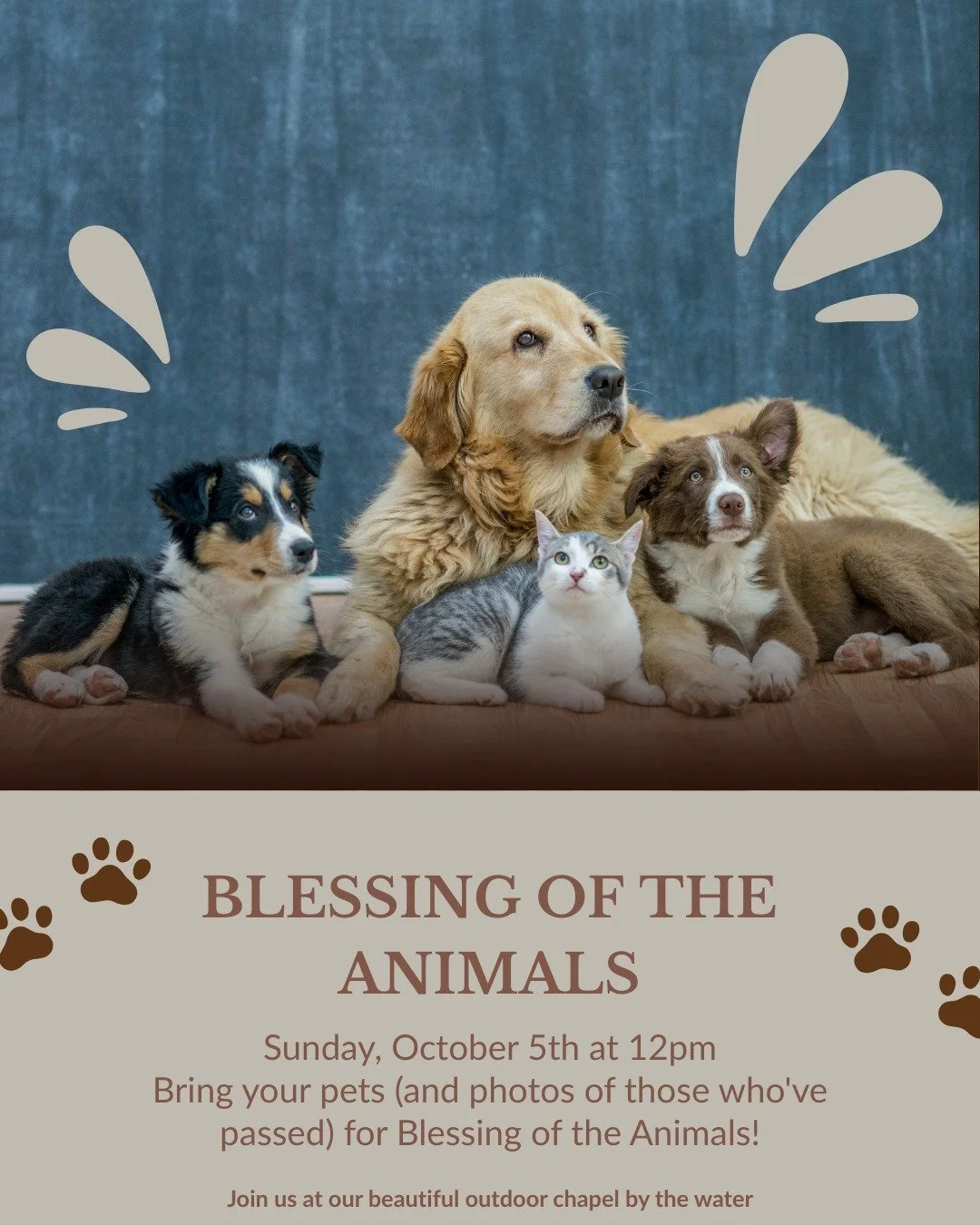 Don't Forget! 📣

Our annual Blessing of the Animals brings together the whole community to celebrate our four-legged (and sometimes no-legged) family members. 

Whether you've got a loyal dog, independent cat, chatty bird, or something more exotic, 