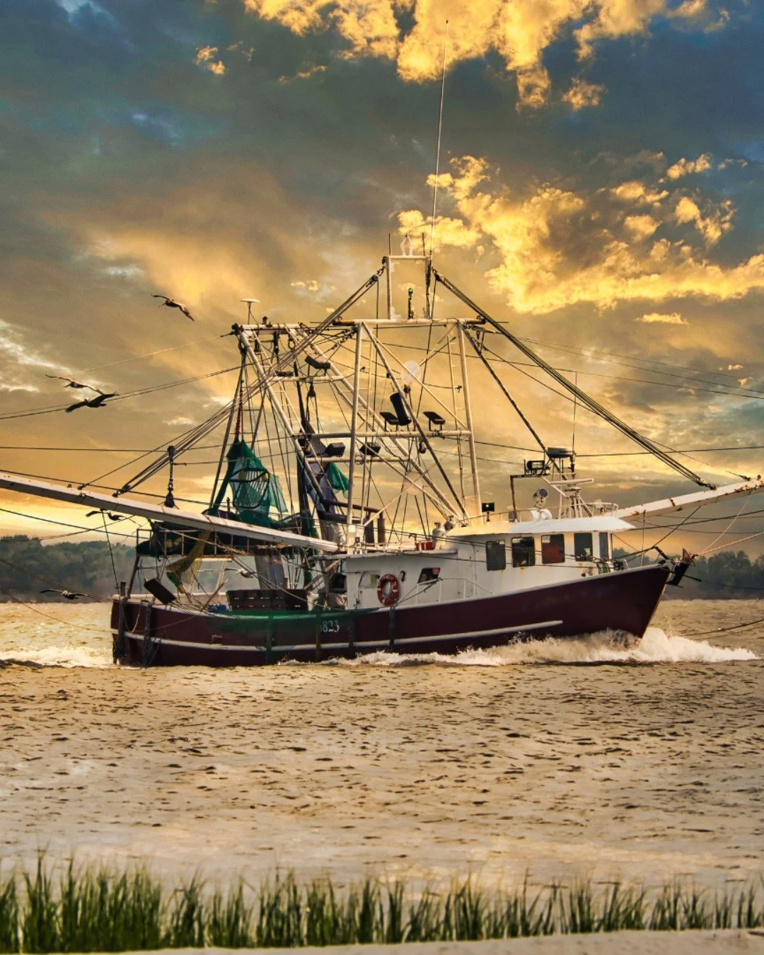 12-Step Programs at Saint James Episcopal Church in Charleston, SC 

✓ Sundays at 6 pm: NA (Open Meeting) - Administrative Building
✓ Thursdays at 6 pm: NA (Open Text Study) - Administrative Building
✓ Mondays at 7 pm: Addiction related 12-step progr