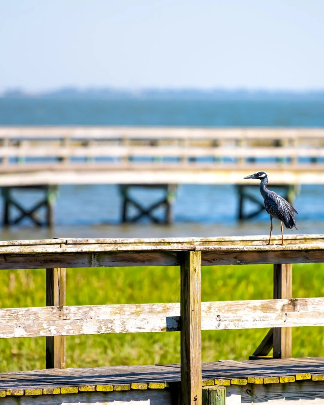12-Step Programs at Saint James Episcopal Church in Charleston, SC 

✓ Sundays at 6 pm: NA (Open Meeting) - Administrative Building
✓ Thursdays at 6 pm: NA (Open Text Study) - Administrative Building
✓ Mondays at 7 pm: Addiction related 12-step progr