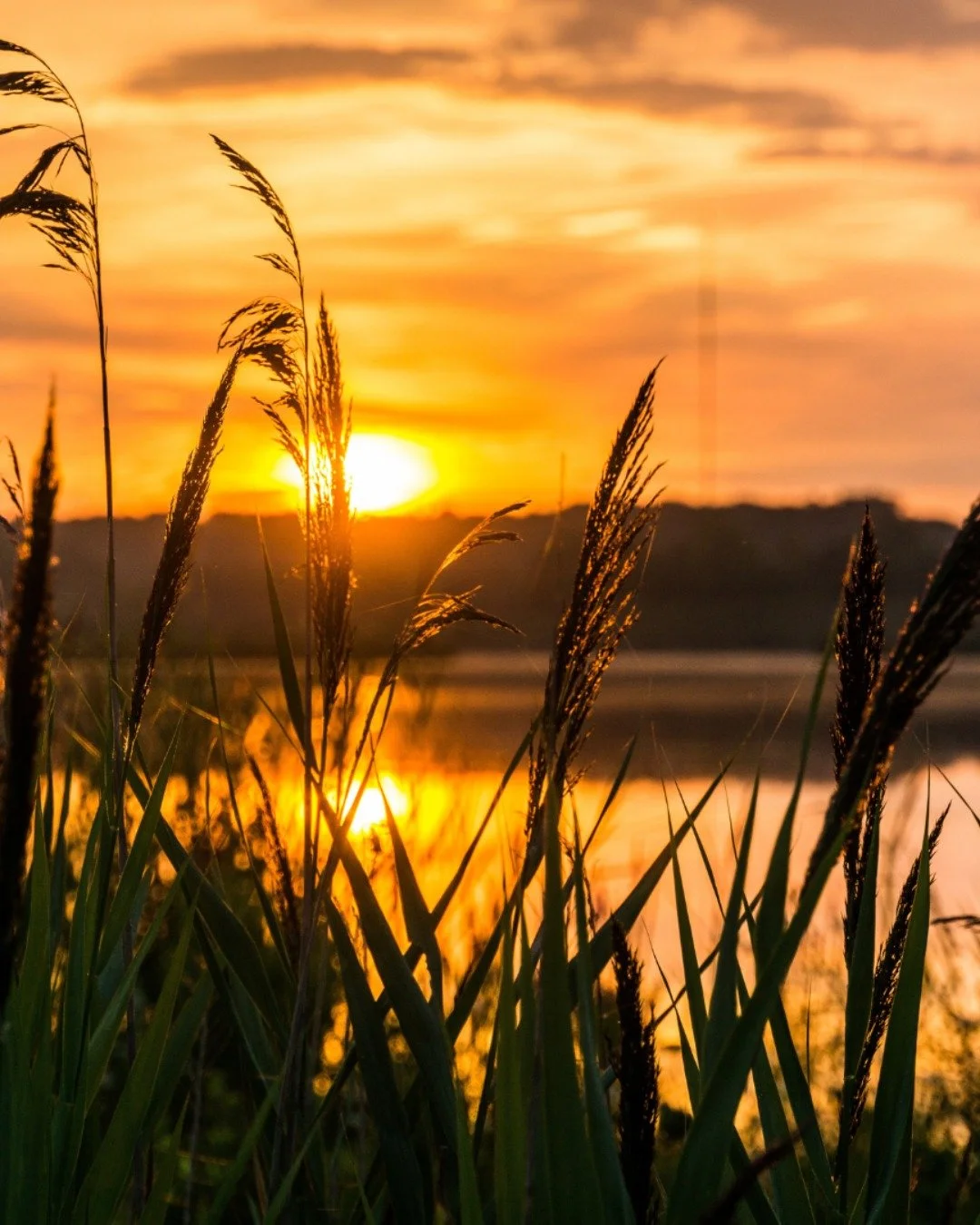 12-Step Programs at Saint James Episcopal Church in Charleston, SC 

✓ Sundays at 6 pm: NA (Open Meeting) - Administrative Building
✓ Thursdays at 6 pm: NA (Open Text Study) - Administrative Building
✓ Mondays at 7 pm: Addiction related 12-step progr