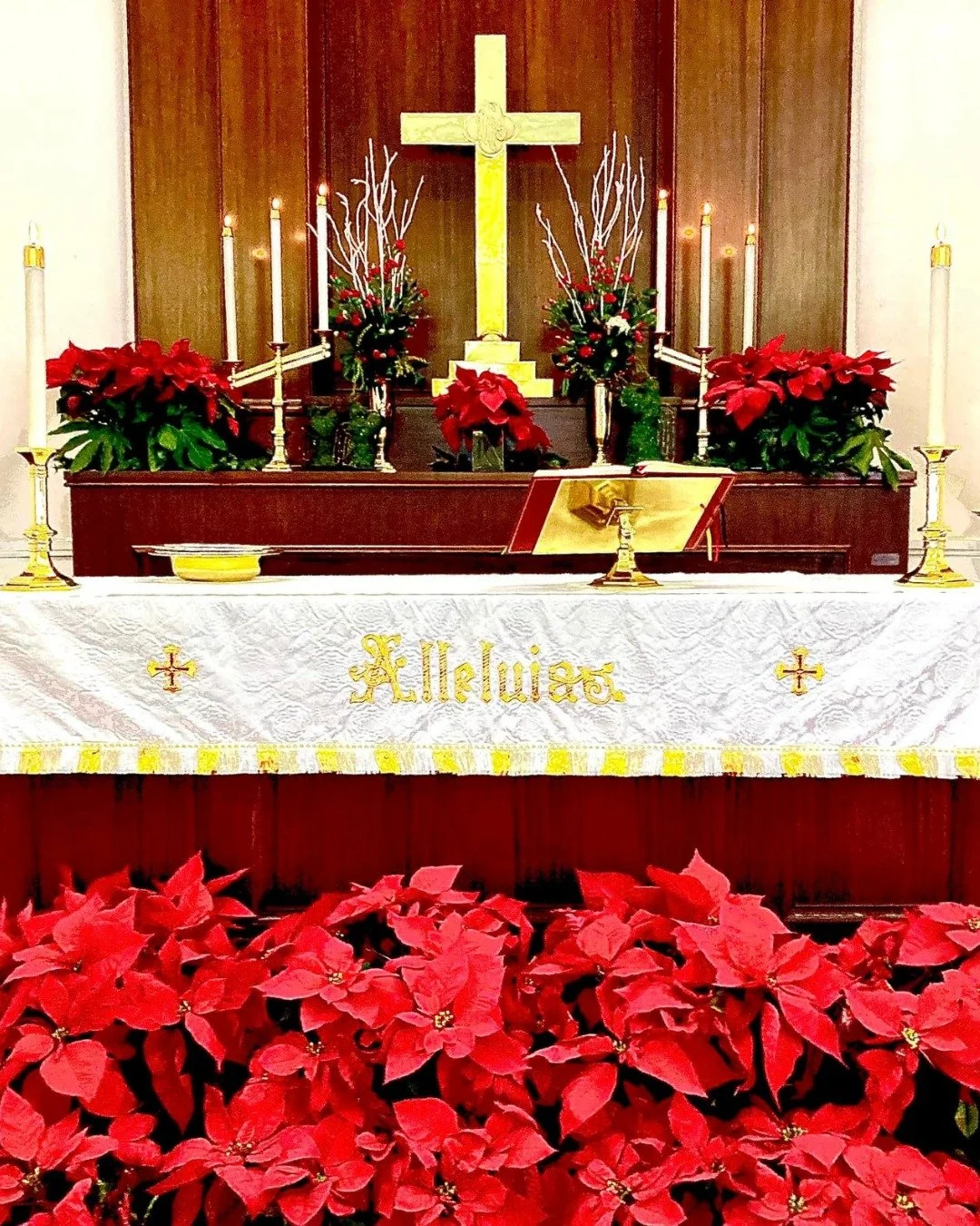 Honor a Loved One This Christmas 🌟

This season, you're invited to make a gift in thanksgiving or in memory of someone special. Your donation will help provide the beautiful Christmas flowers and uplifting music that bring joy and light to our celeb