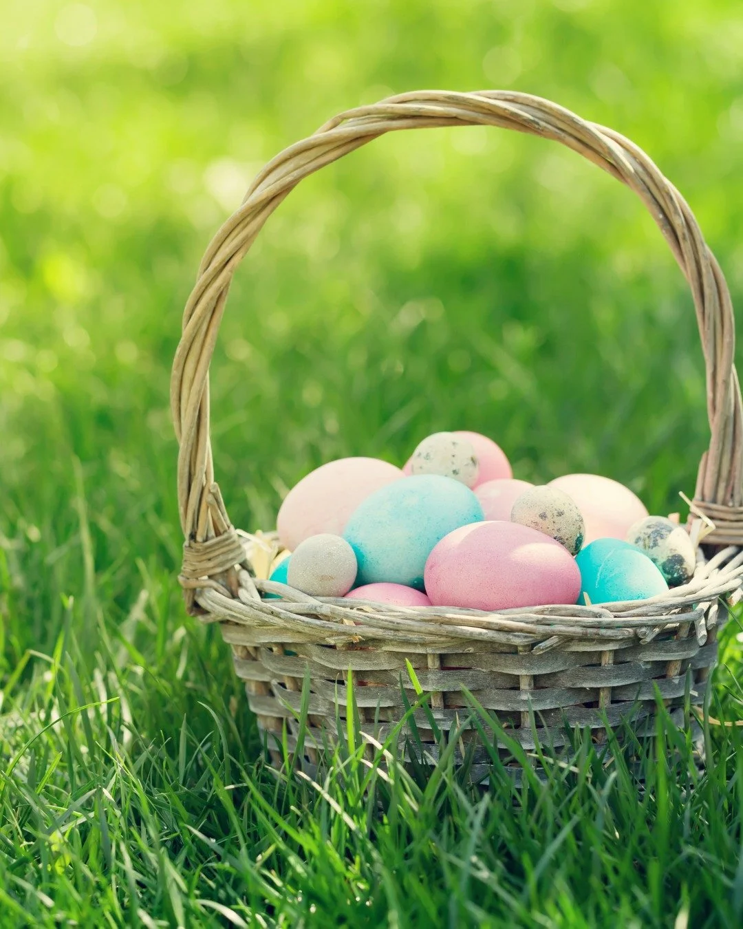 Rest of Holy Week Services

April 3rd: Good Friday - 6PM
&bull; Good Friday Liturgy with the distribution of Holy Communion with Rev. Will Berry

April 4th: Holy Saturday - 9AM
&bull; A short service of Prayer and Scripture in the Sanctuary with The 