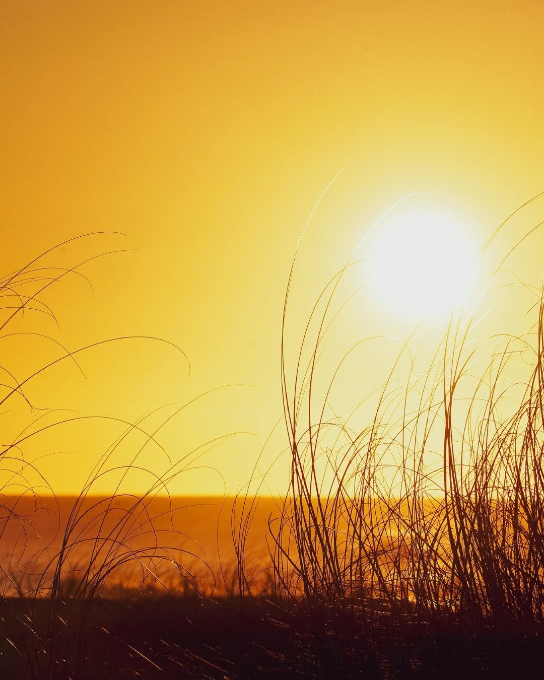 12-Step Programs at Saint James Episcopal Church in Charleston, SC

✓ Sundays at 6 pm: NA (Open Meeting) - Administrative Building
✓ Thursdays at 6 pm: NA (Open Text Study) - Administrative Building
✓ Mondays at 7 pm: Addiction related 12-step progra