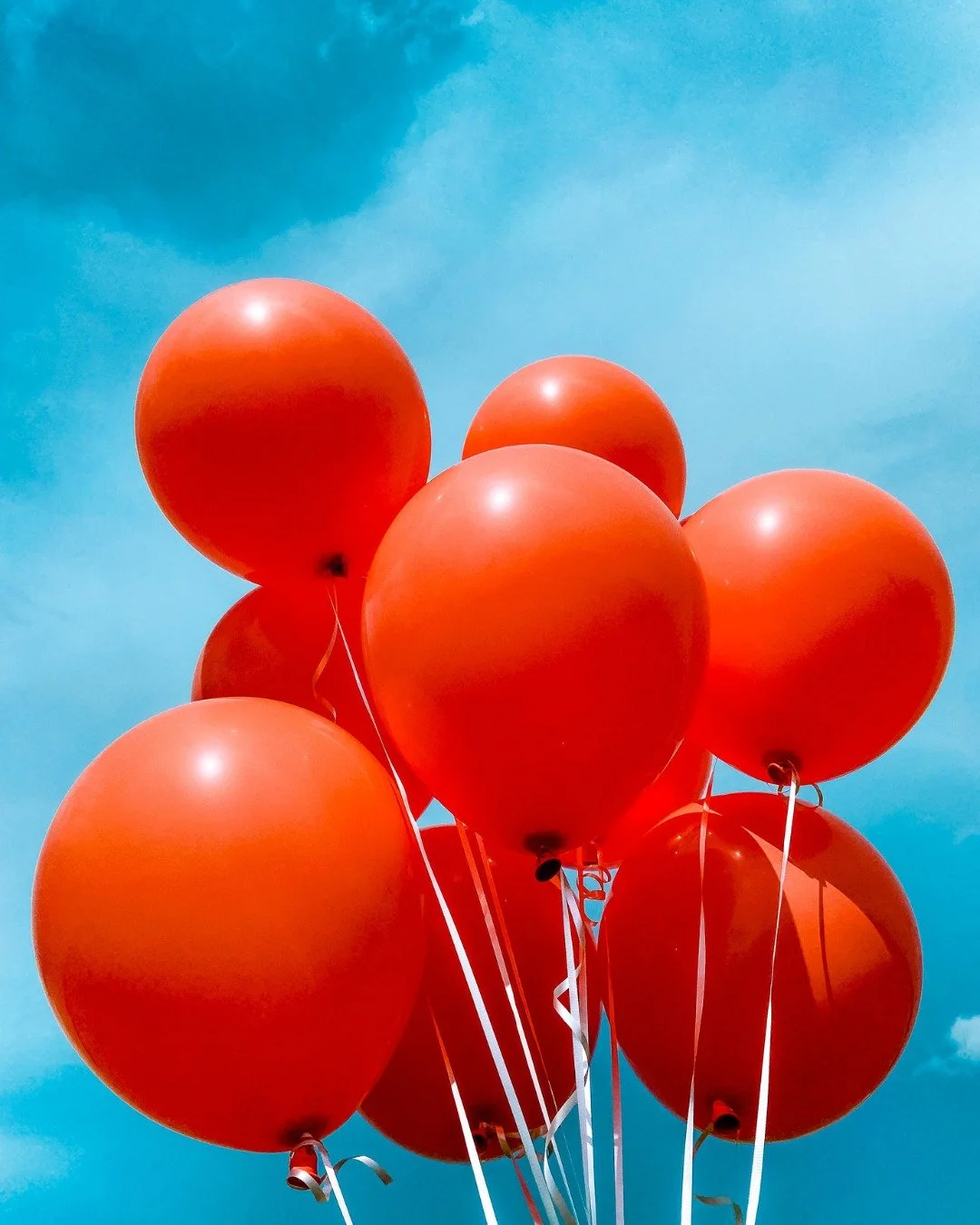 ✨ One space, endless possibilities ✨

Seriously - we mean it! The Saint James Center transforms for any event you can imagine:

Corporate training in the morning? ✓ Anniversary gala in the evening? ✓ Family reunion this weekend? ✓ High school reunion