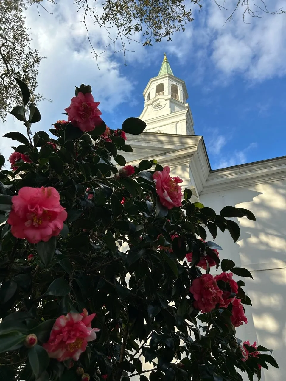 saint-james-episcopal-church-charleston-sc-6.jpeg
