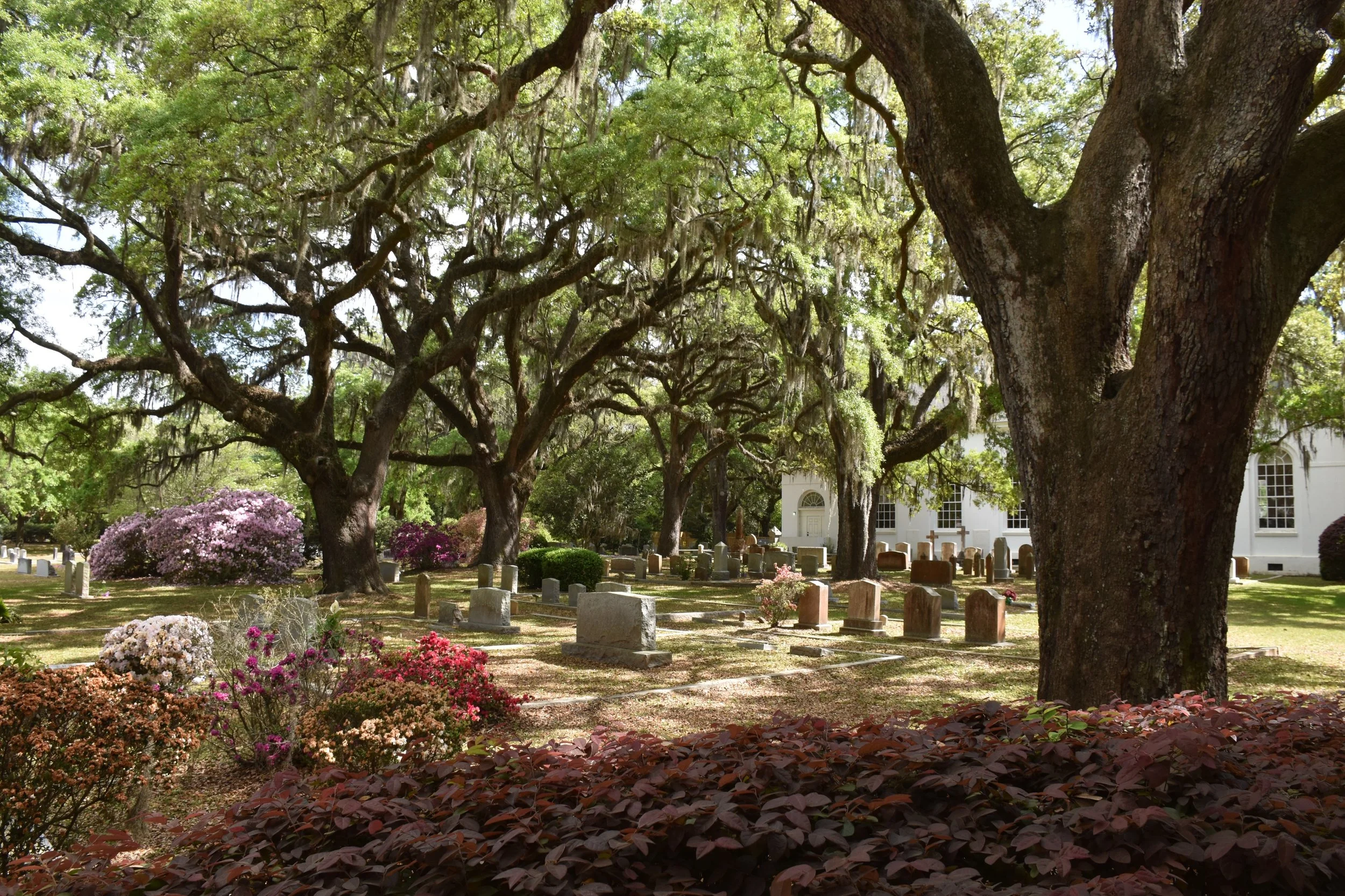 flowers and graveyard at church in Charleston, SC