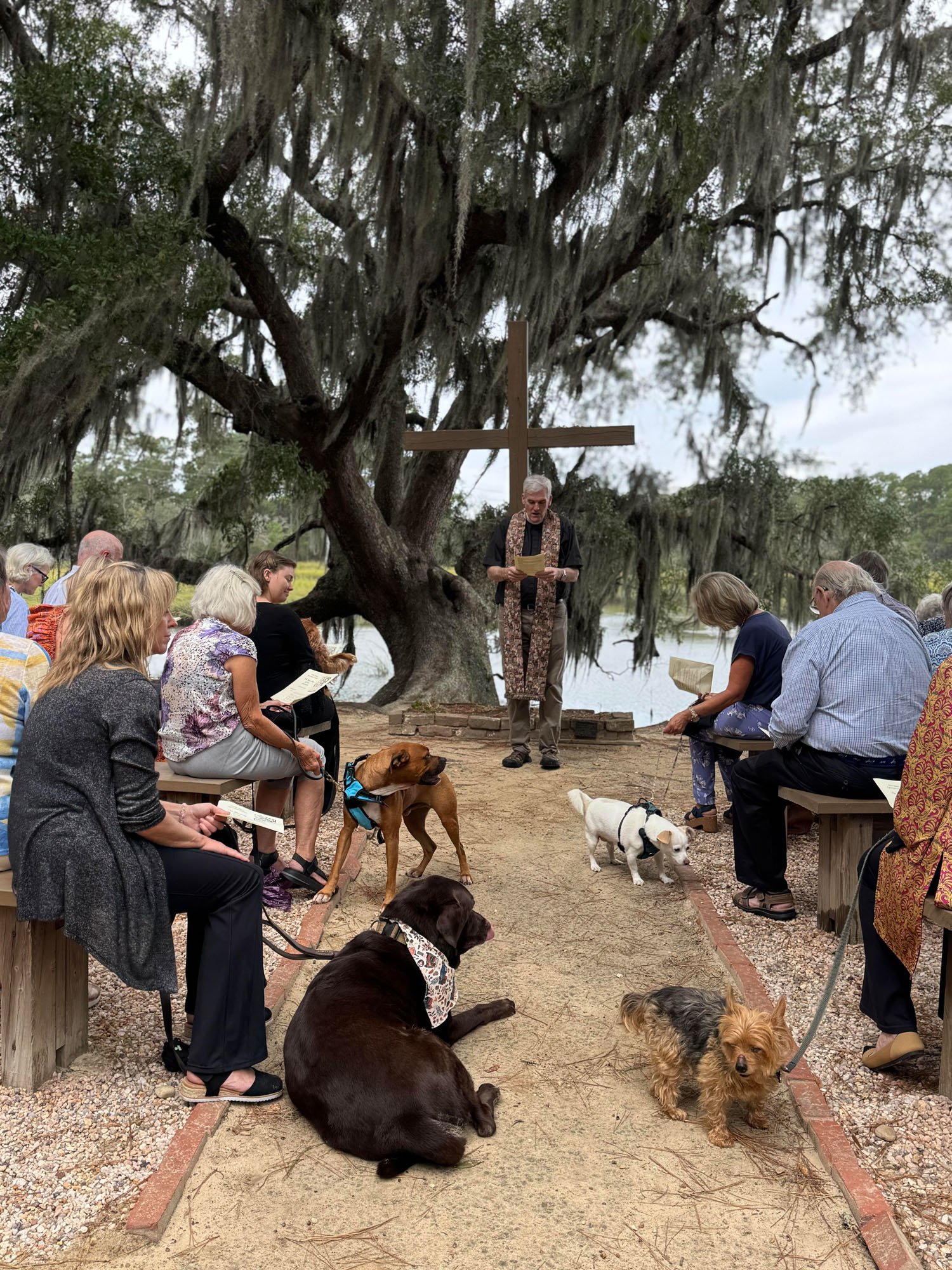 2025-blessing-of-the-animals-saint-james-episcopal-charleston-6.jpg