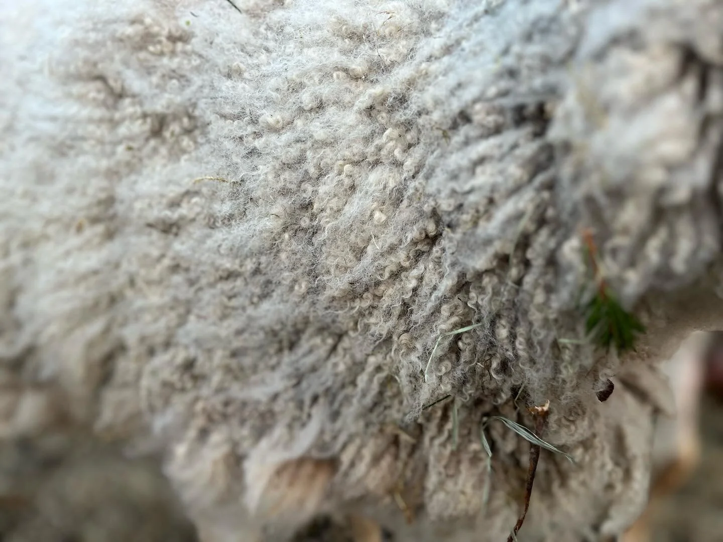 L&eacute;to
2023
Beskydy ovečky rodina v&yacute;lety hrady z&aacute;mky setk&aacute;v&aacute;n&iacute; toul&aacute;n&iacute;