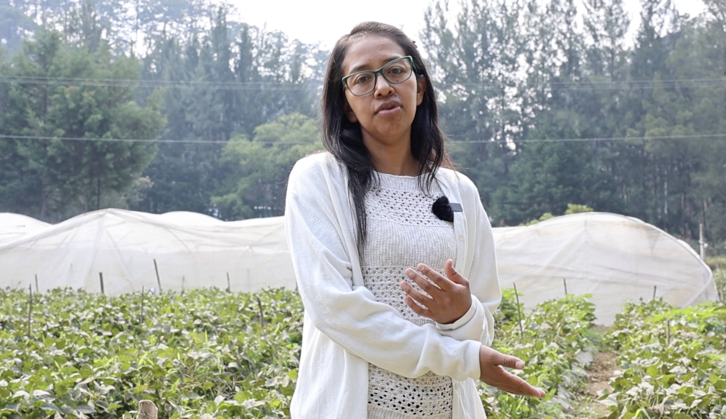 Impulsando el cumplimiento de las normas del mercado en pequeños productores 