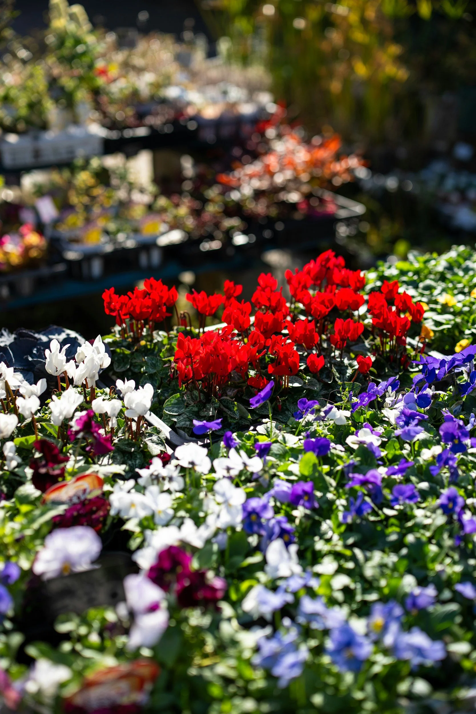 Milton Community Days: May