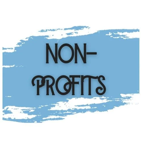 Non-Profit logo.jpg