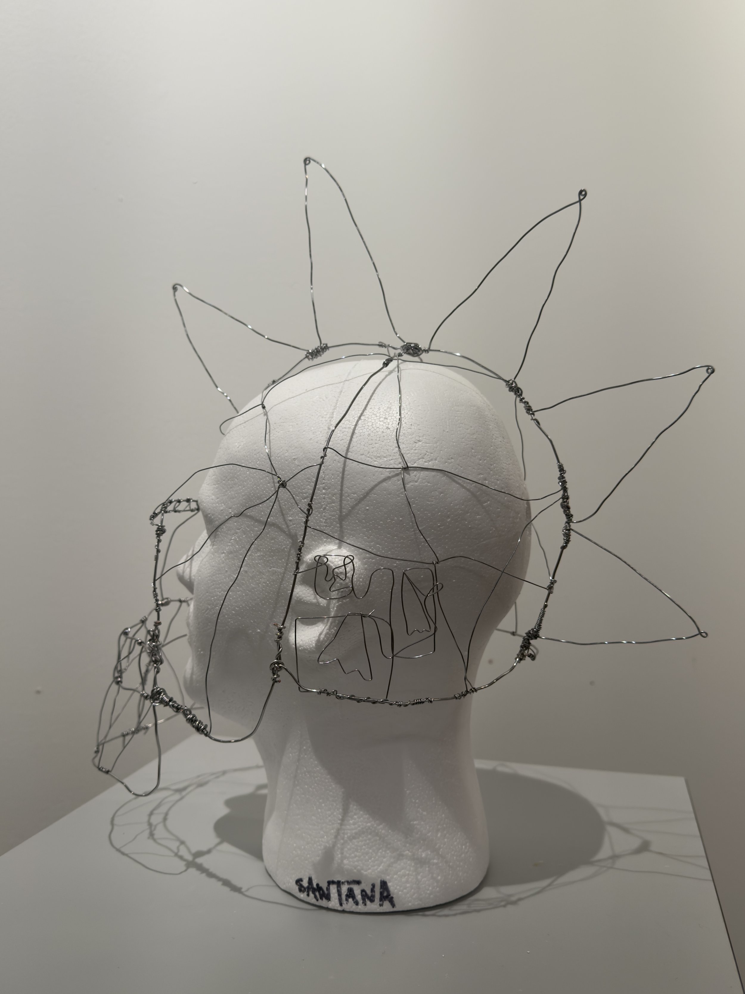 spring semester projects!