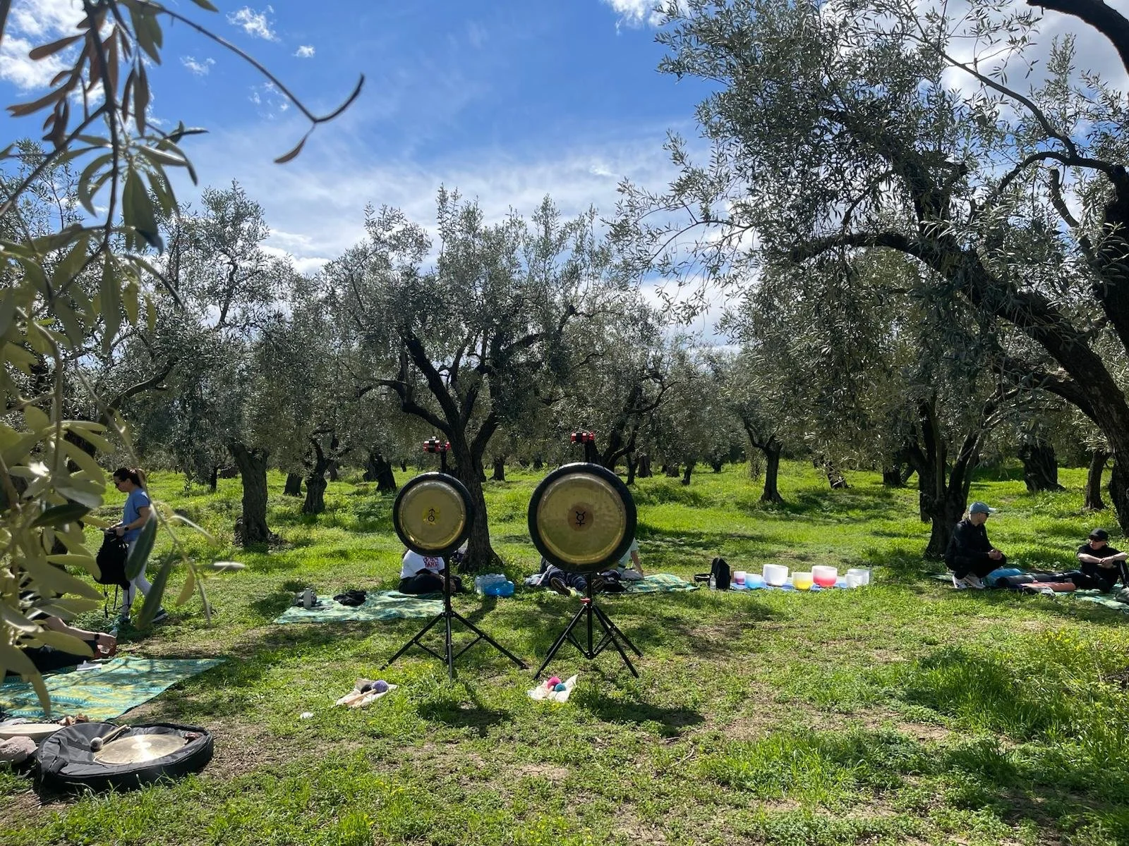 WhatsApp Image 2026-03-30 at 13.44.32.jpeg