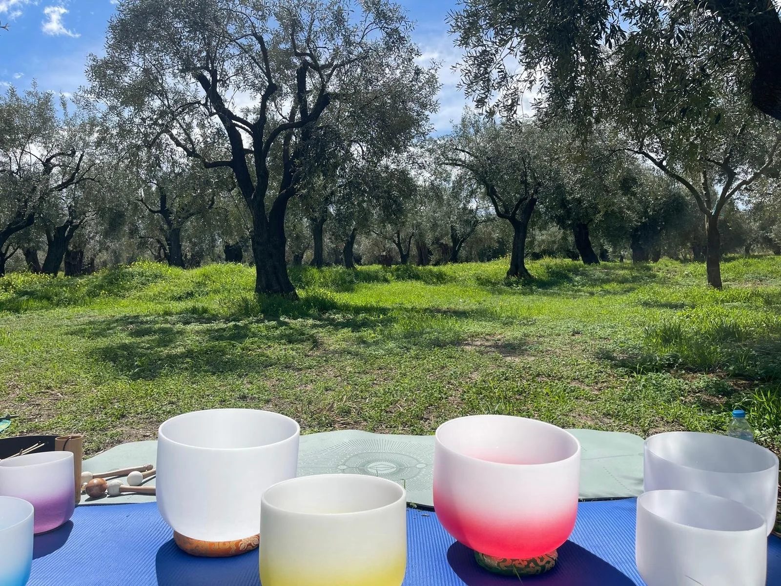 WhatsApp Image 2026-03-30 at 13.44.08.jpeg