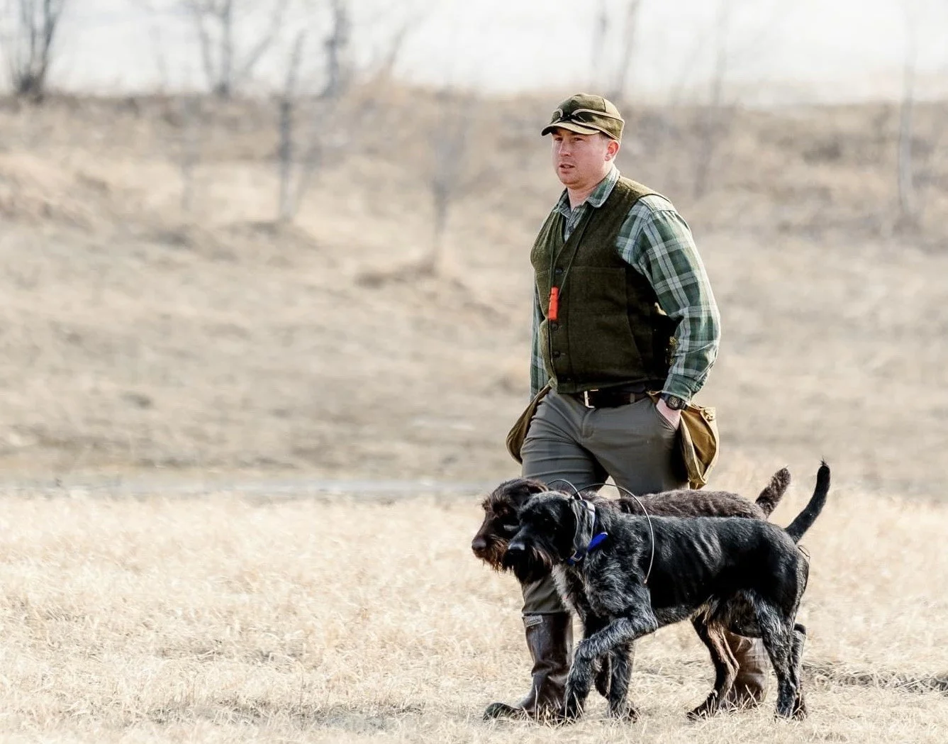 Services 3 — Alpine Versatile Hunting Dogs