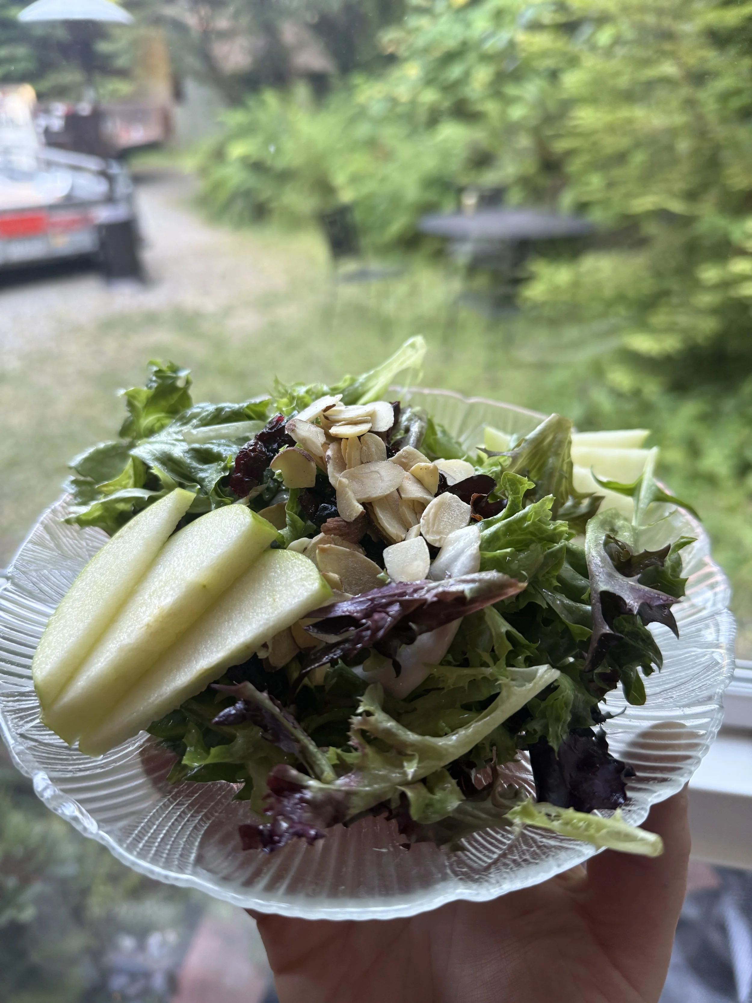 A glass bowl of mixed salad with leafy greens, sliced apple, and sliced almonds, held up near a window with a green outdoor background.