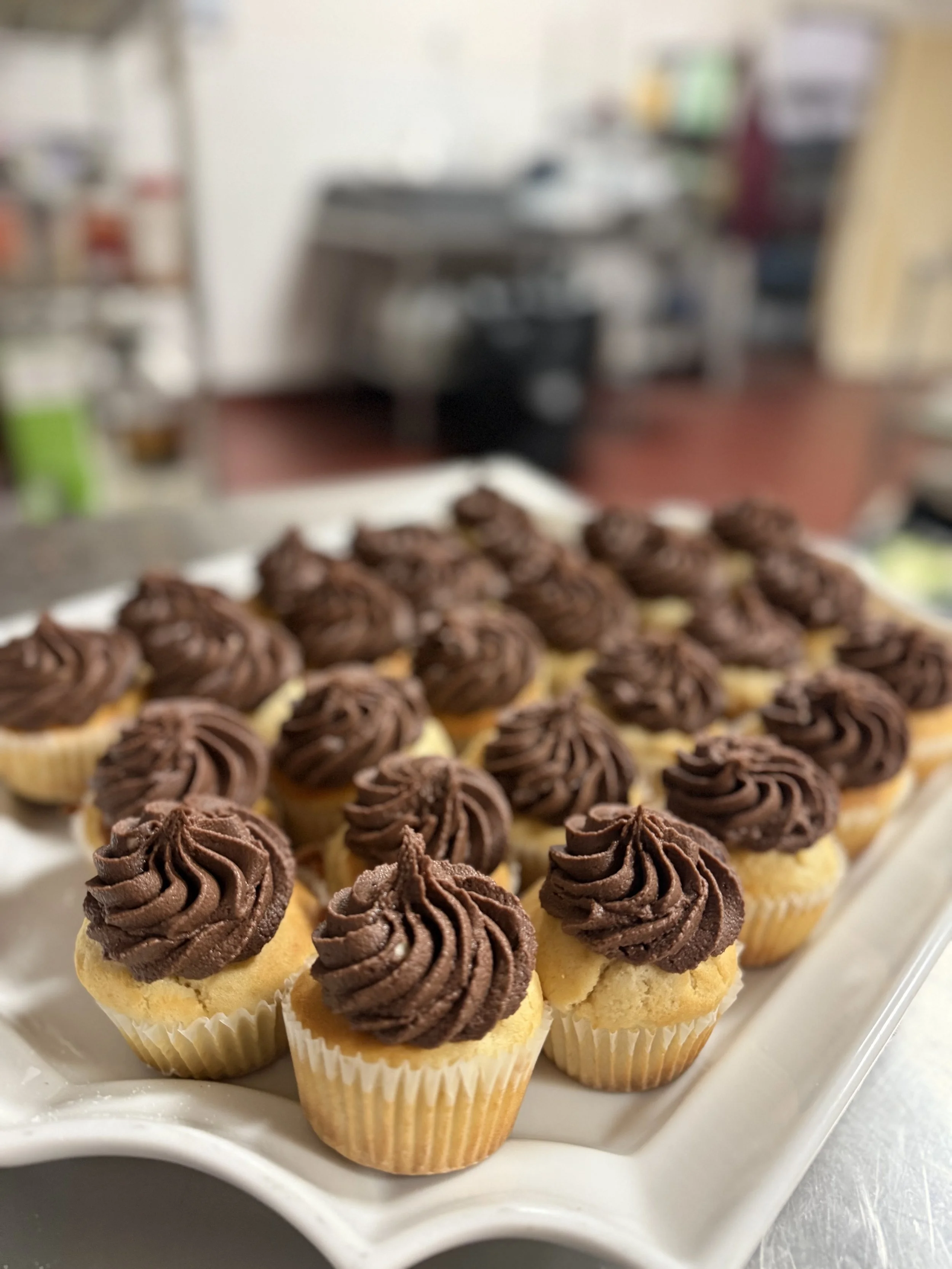 Mini vanilla cupcakes with chocolate frosting on a white platter.