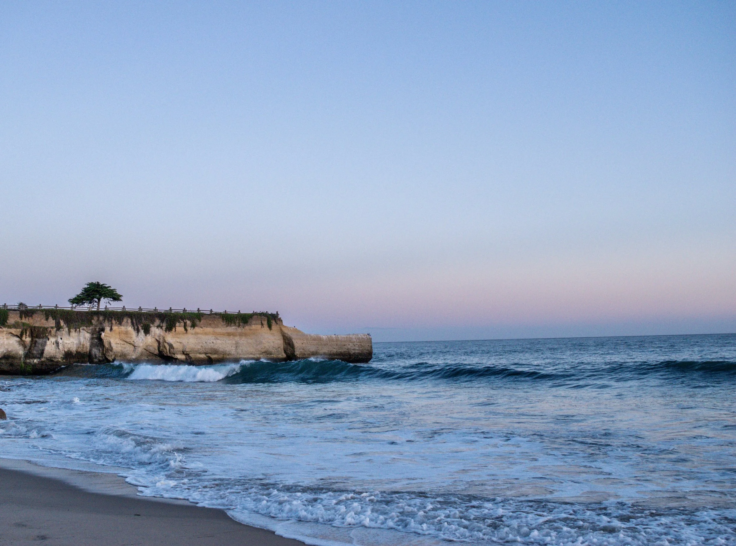 Cat Contreras-10 2.jpg