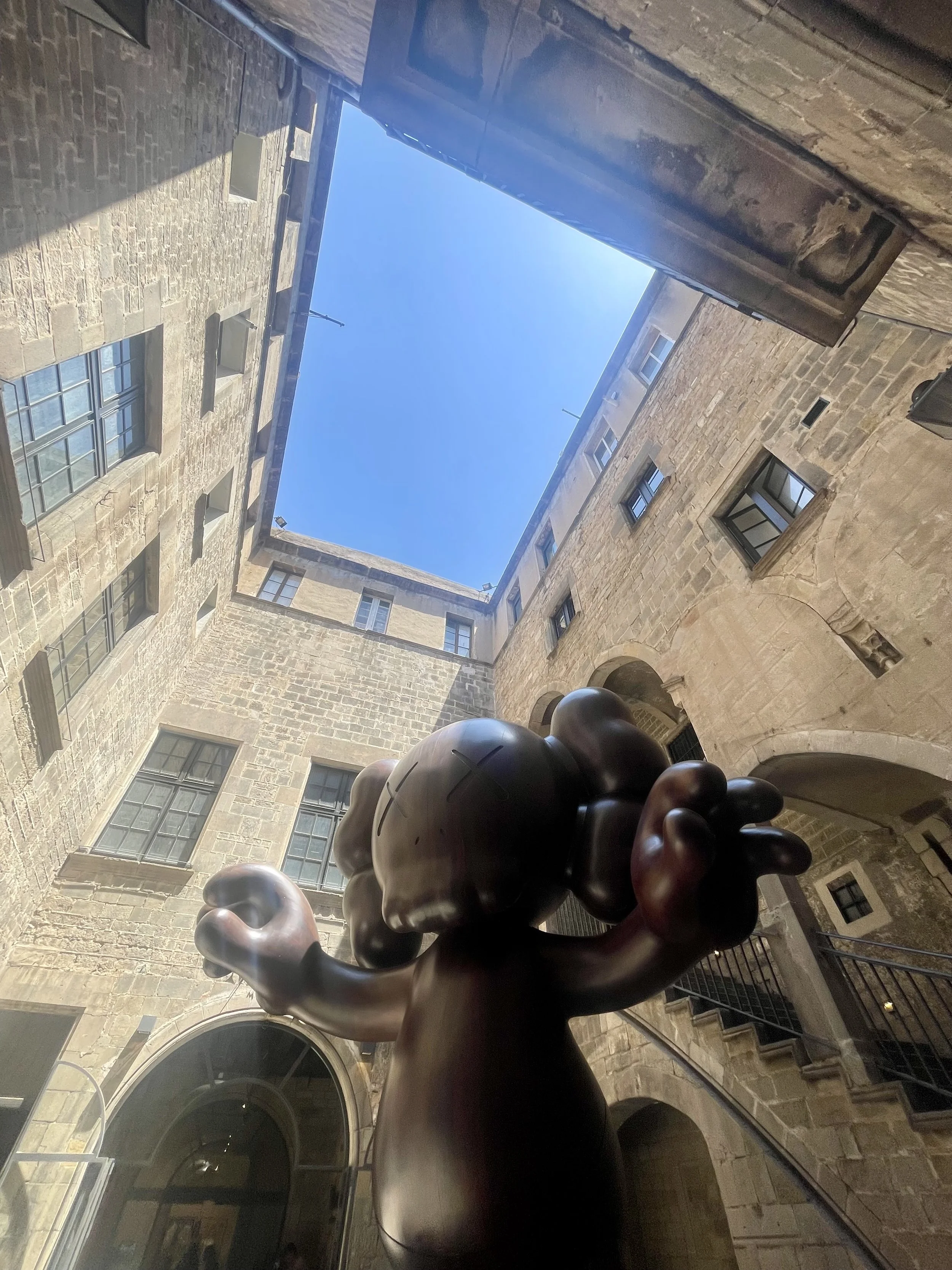 IMG_2217.jpeg
